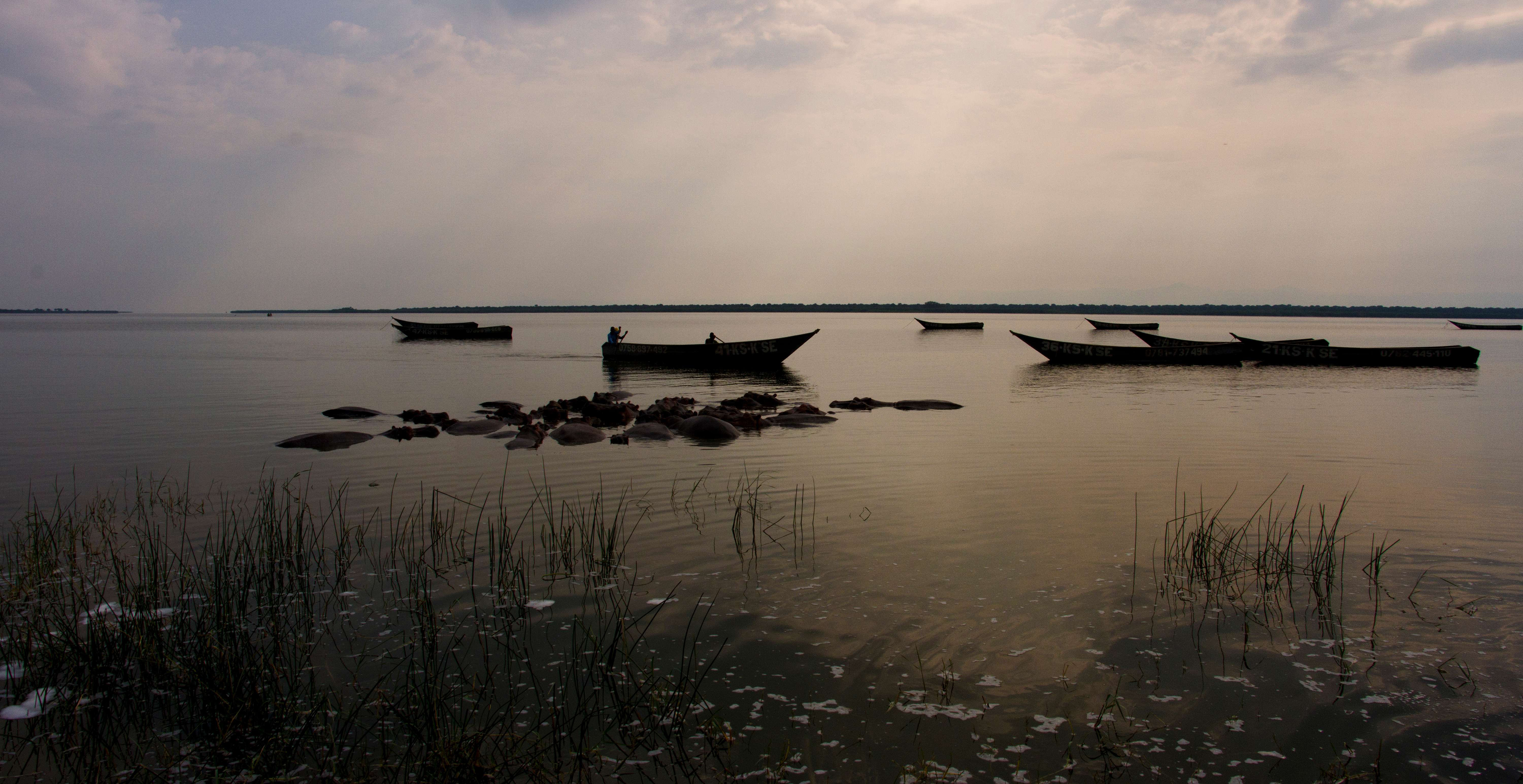 1615802642 shutterstock 1714565539