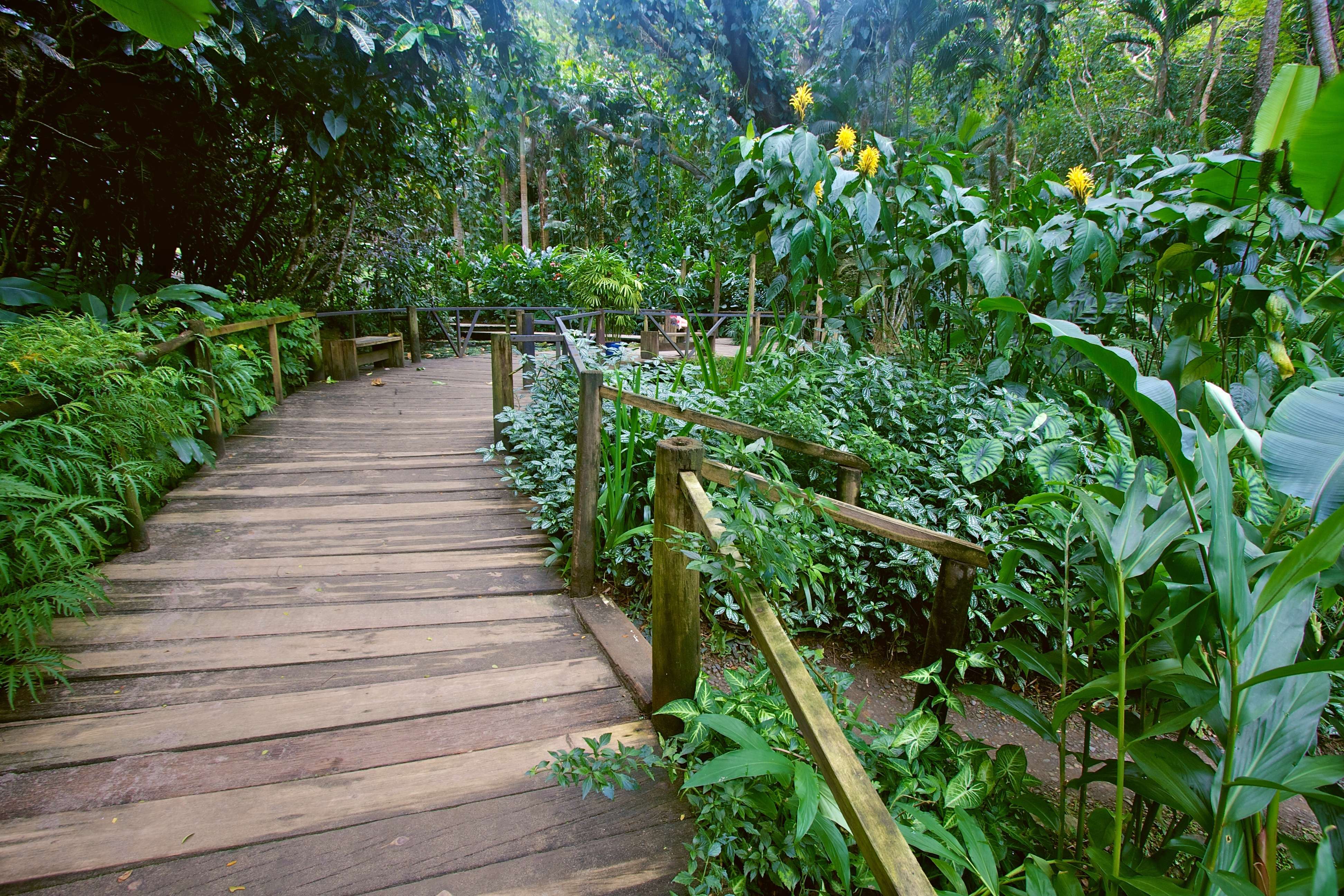 Visit the Garden of the Sleeping Giant