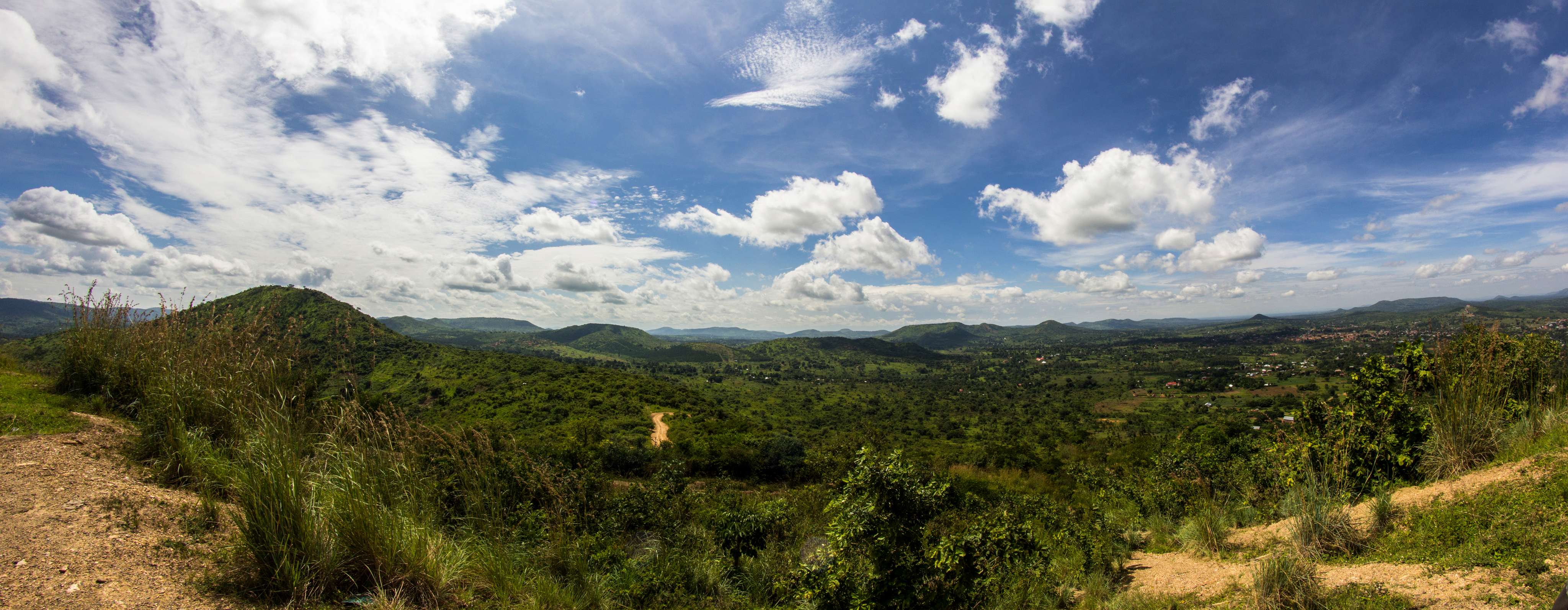 1615803002 shutterstock 1900752505