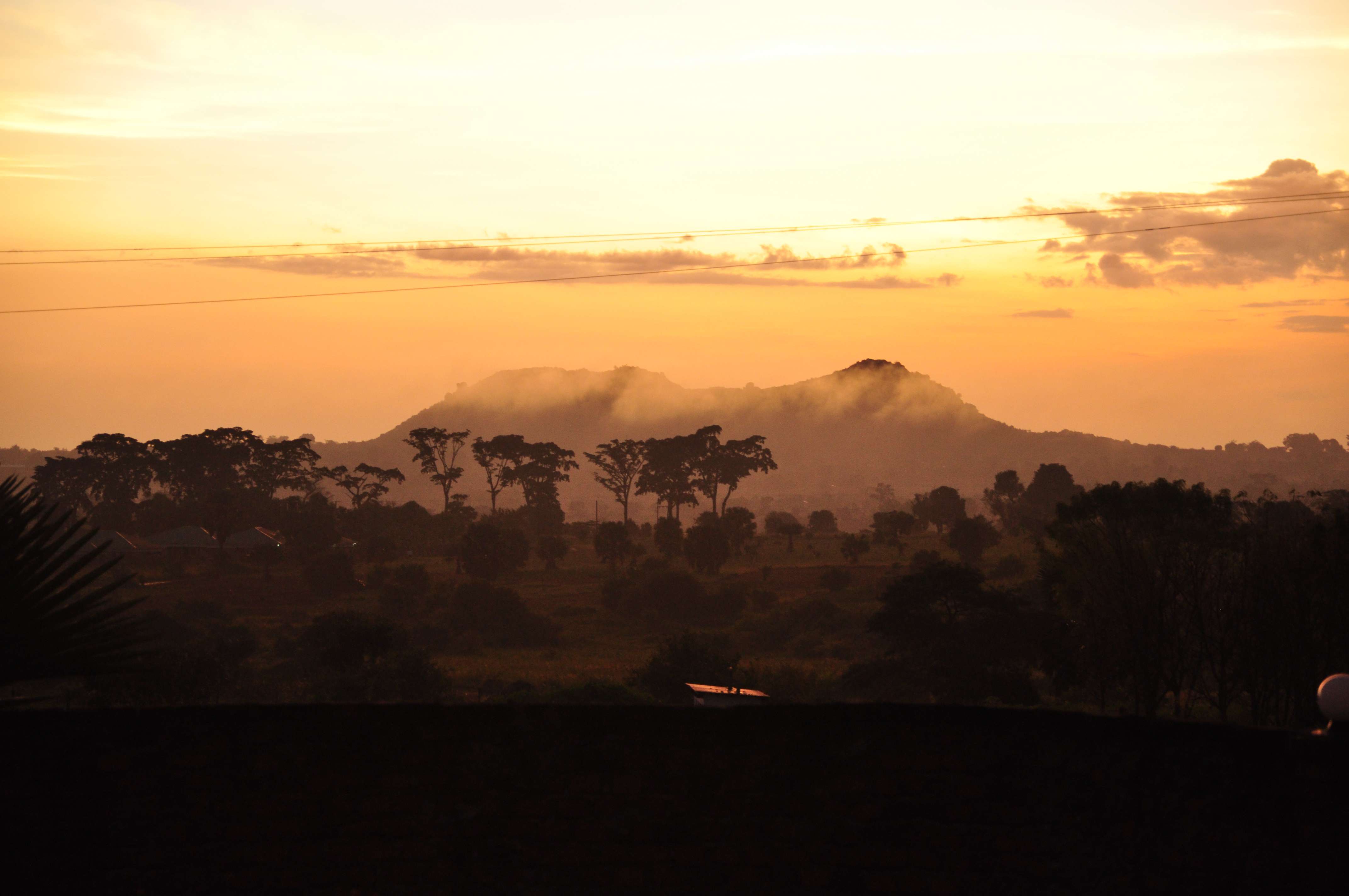 1615803231 shutterstock 1337926304