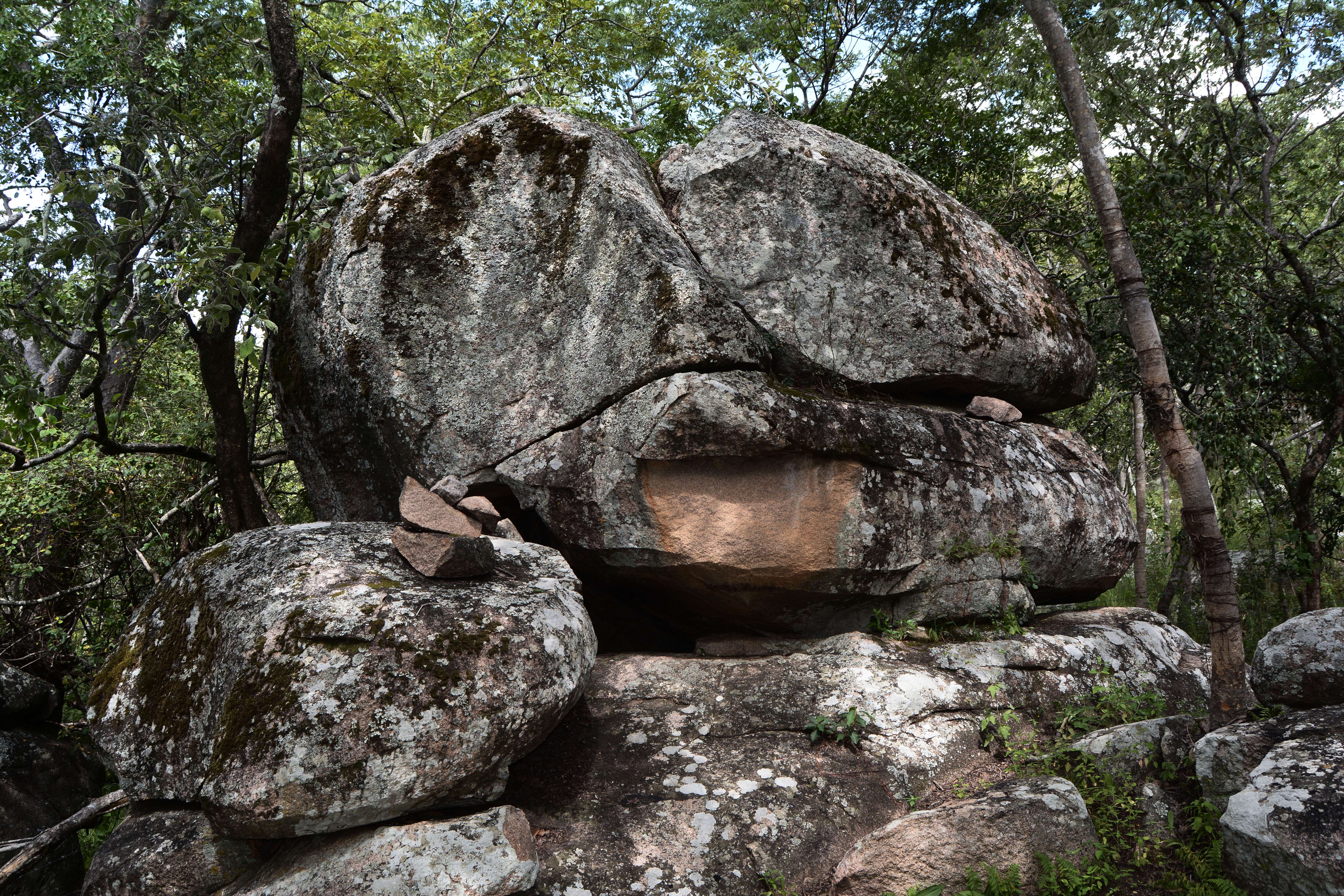 1615805590 shutterstock 1770487415