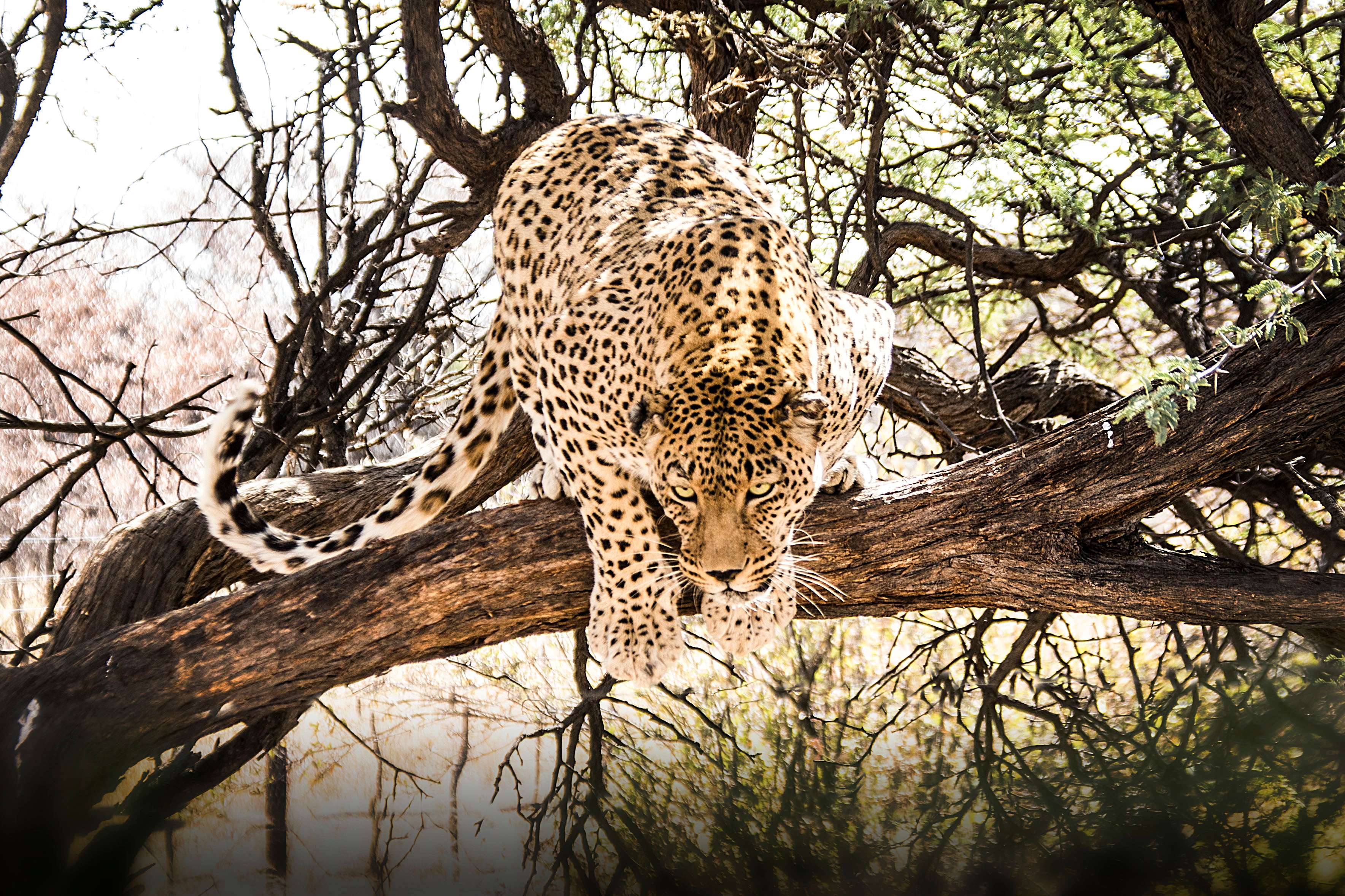 1615807172 shutterstock 1275688930