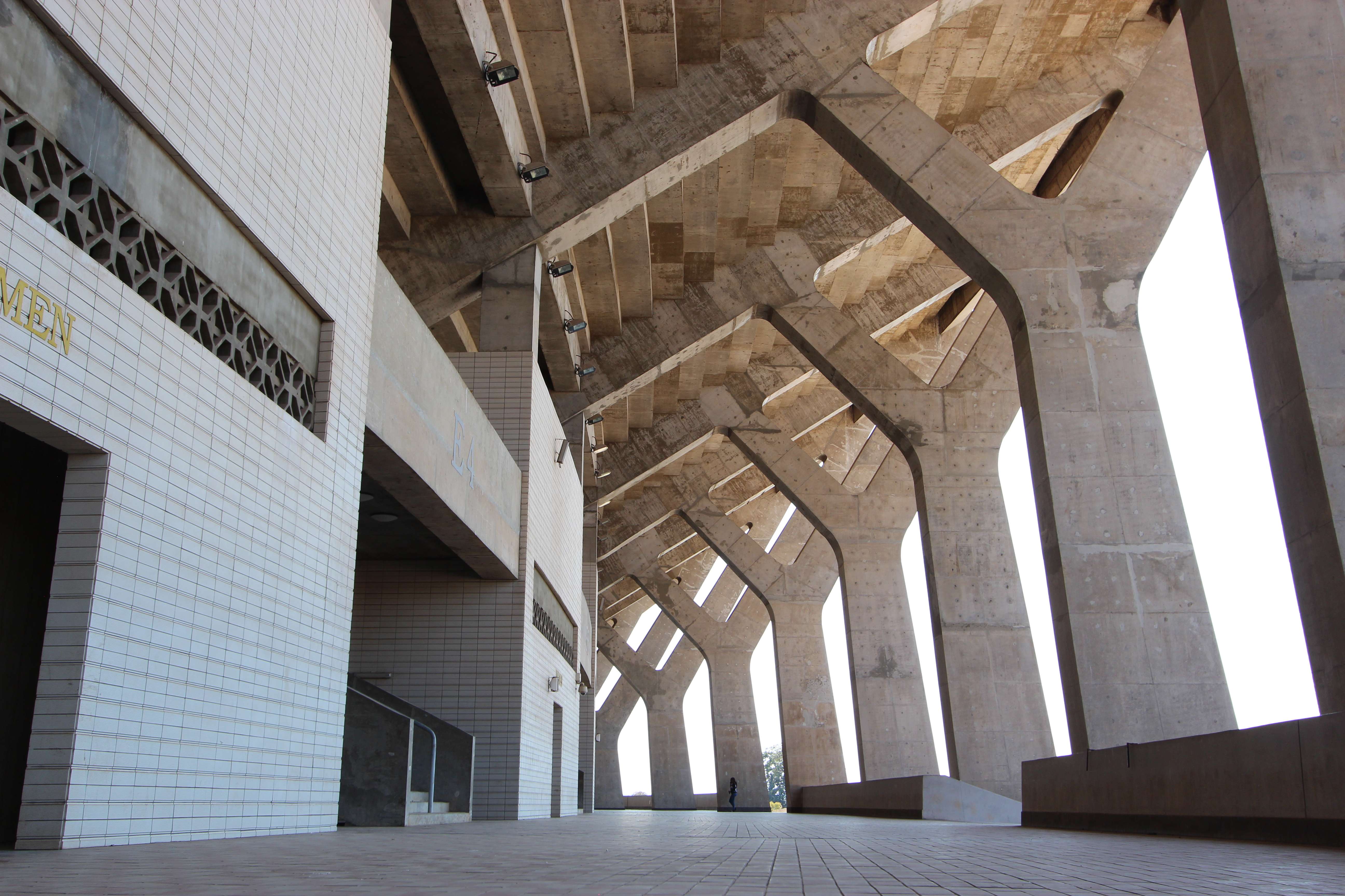 1615809369 shutterstock 1928746640