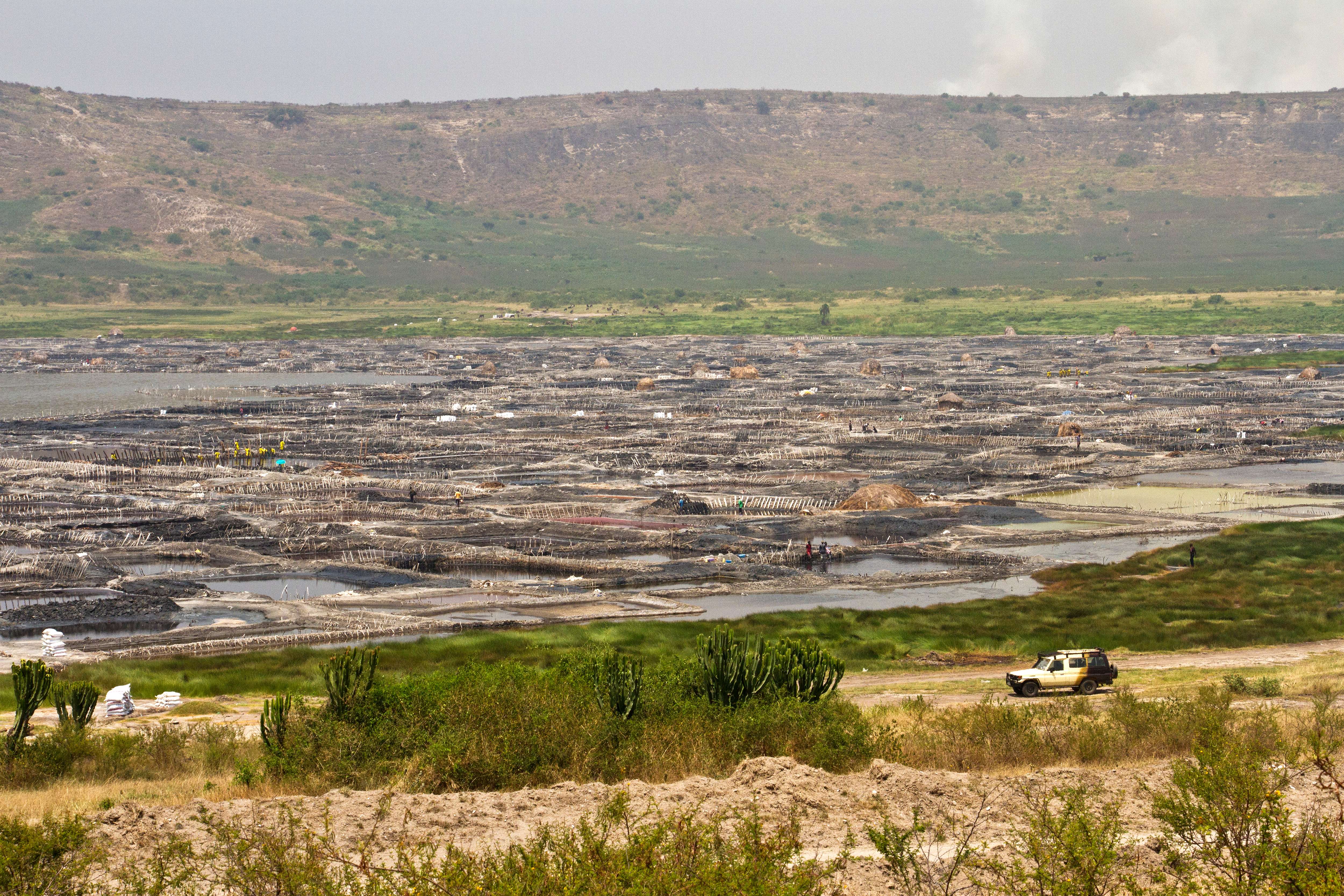 1615809497 shutterstock 1713447487