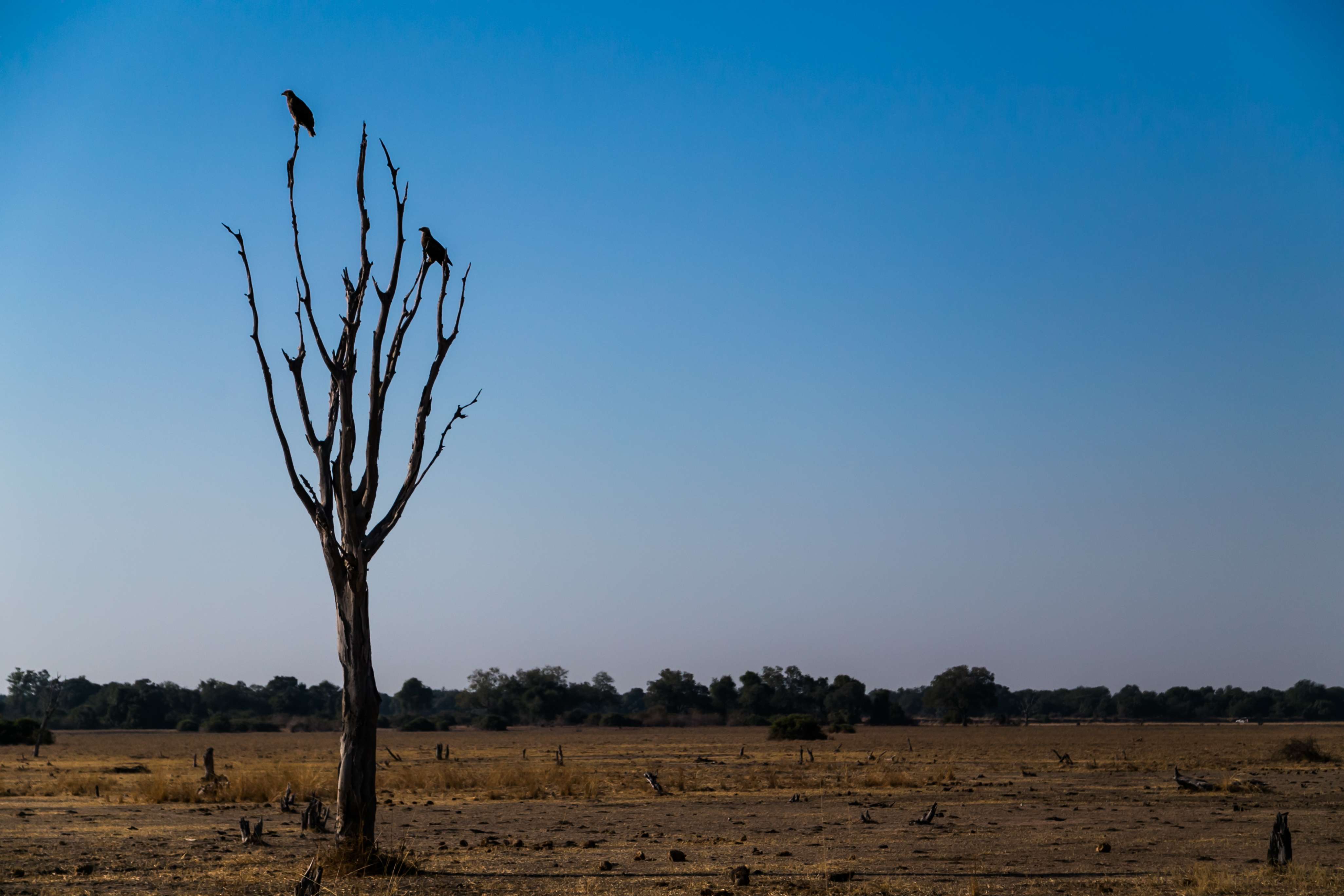 1615810171 shutterstock 324605756