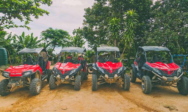 Go on an adventure on four wheels in Terra Trek