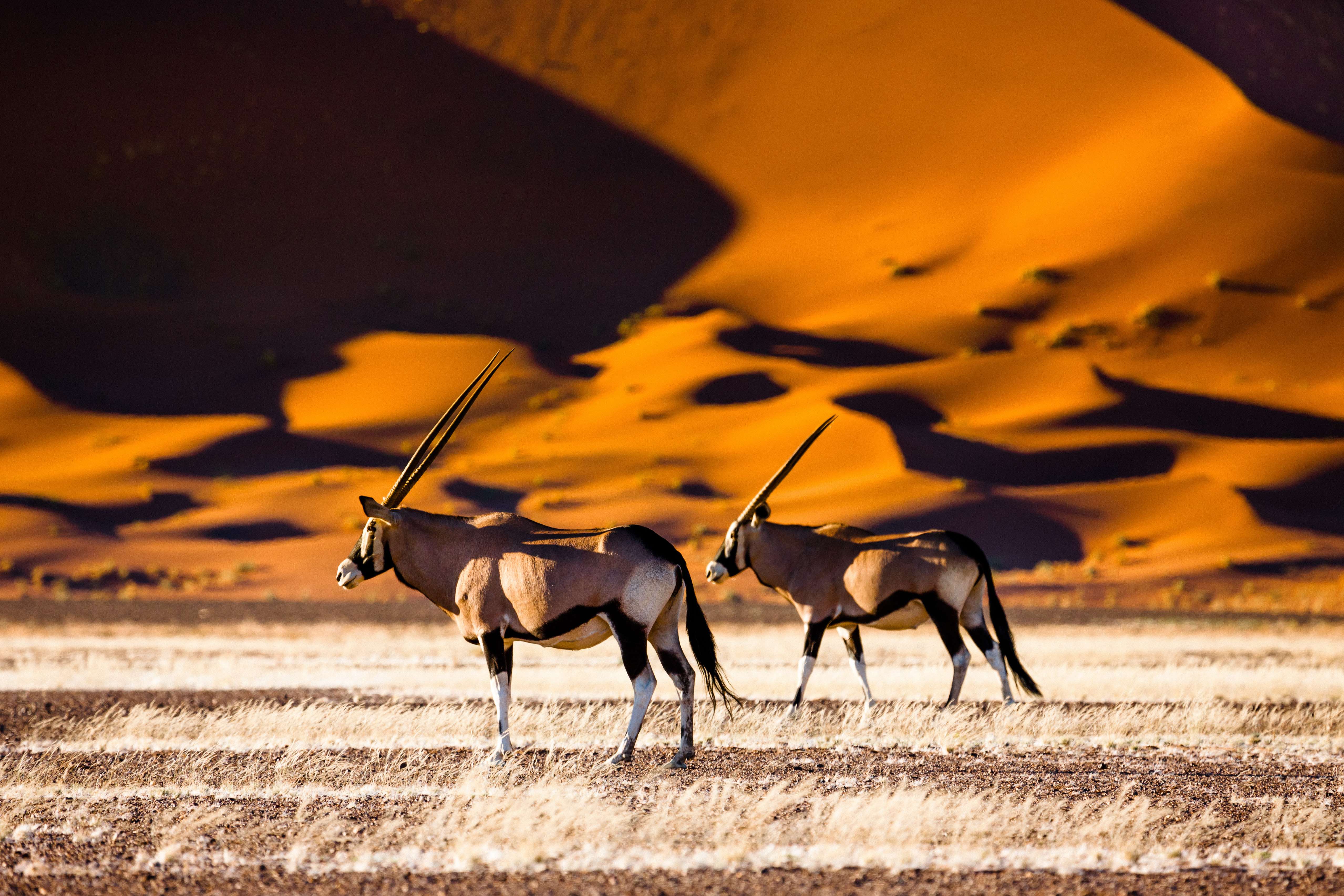 Namibia