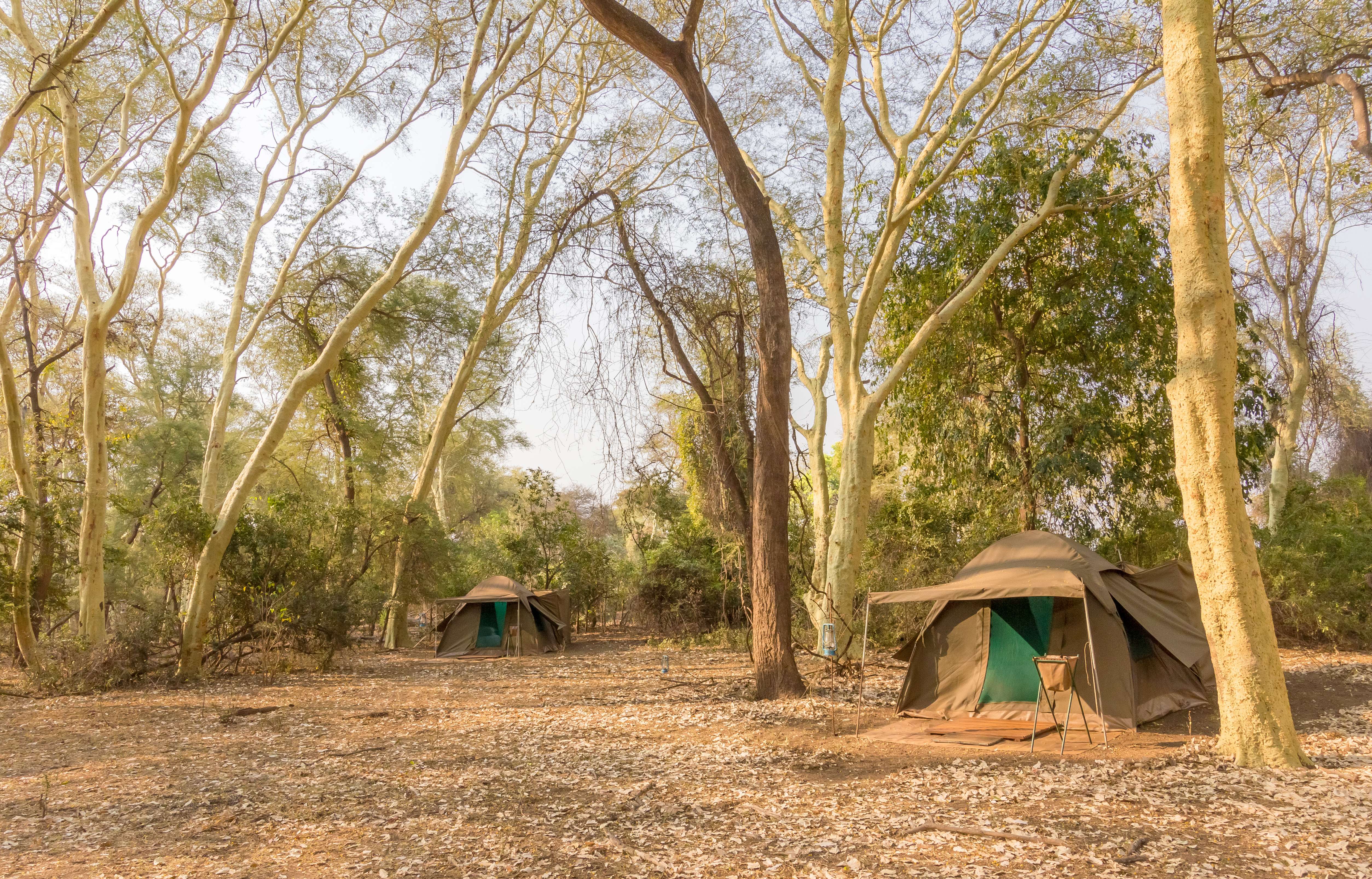 Mobile Camping Safari
