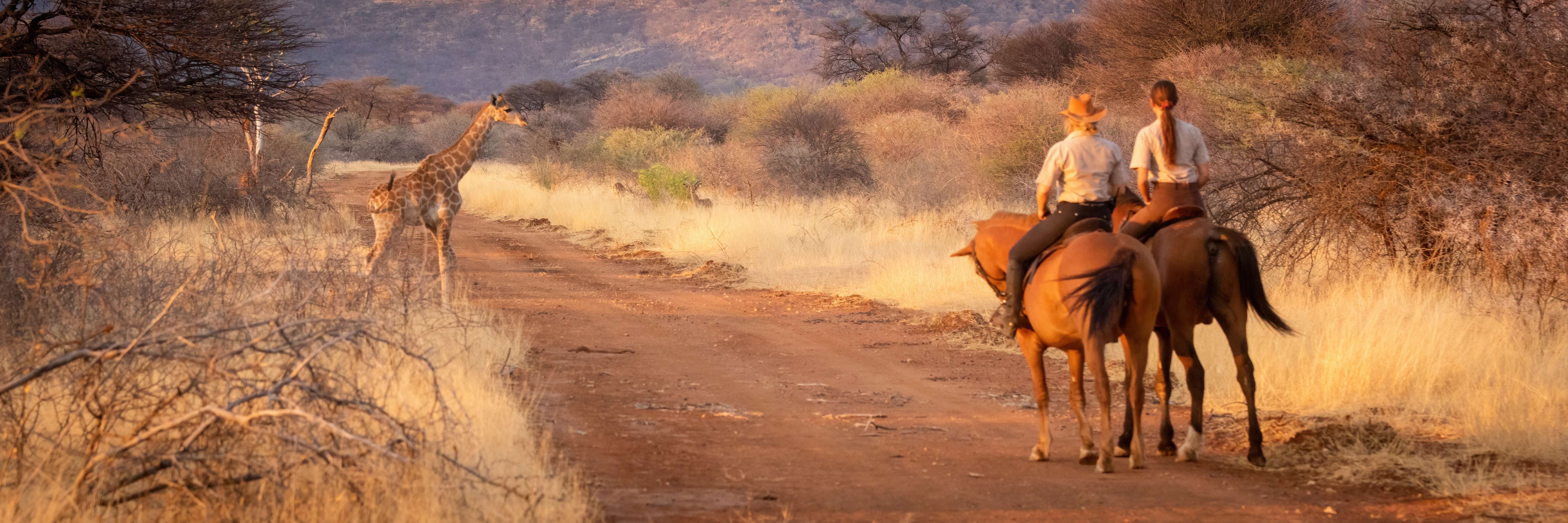 Horseback Safaris