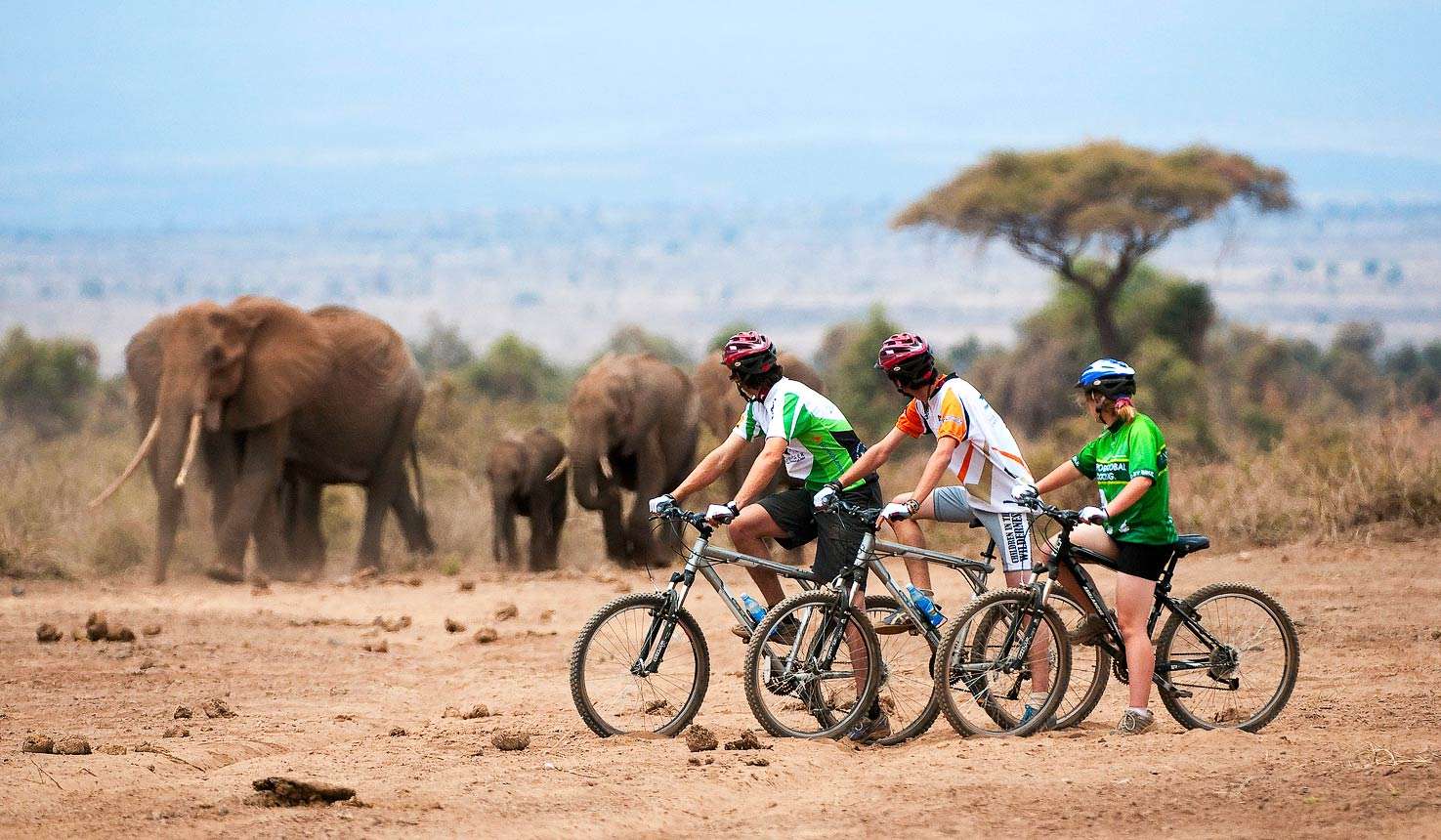 Cycling Safaris