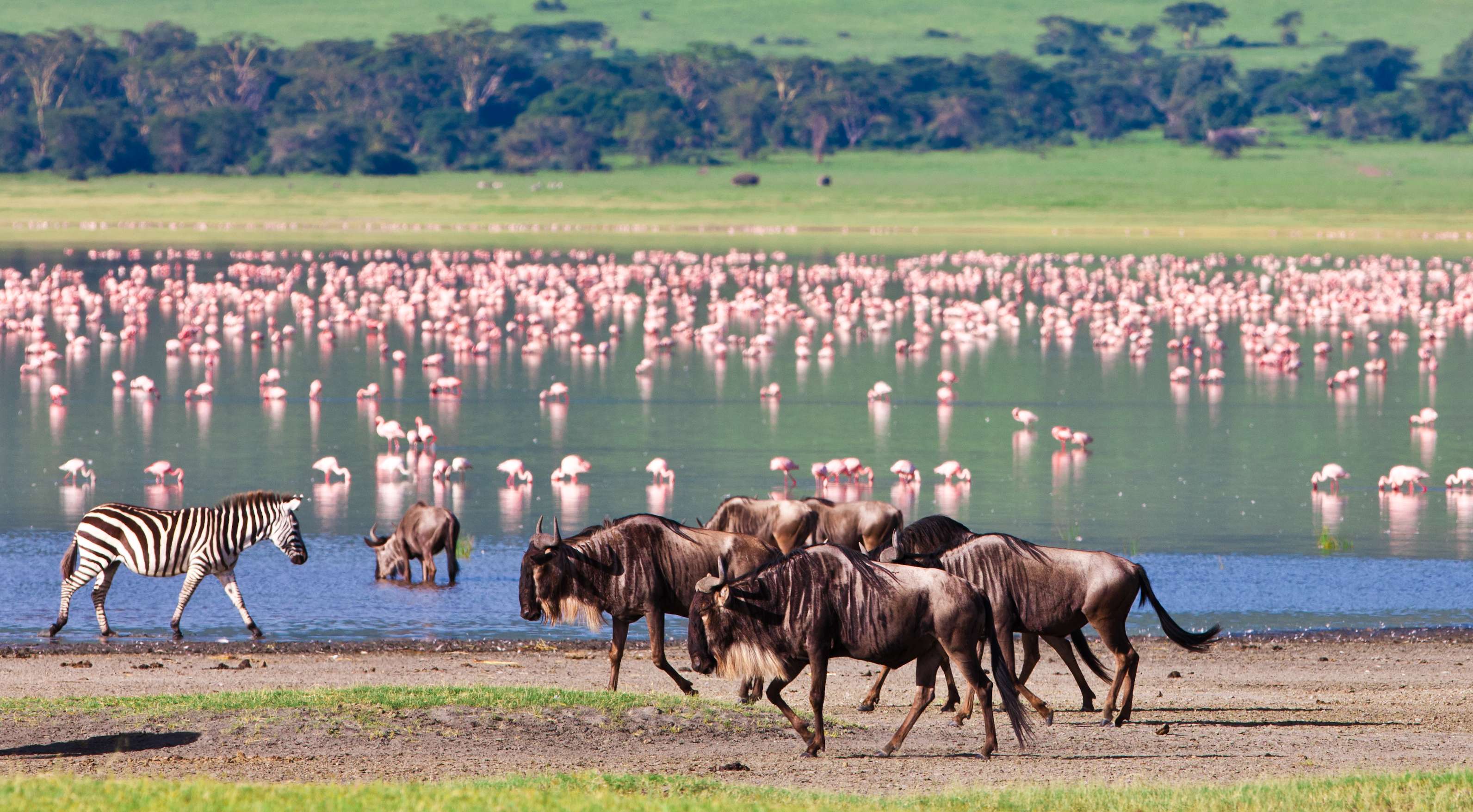 Ngorongoro Crater, Tanzania