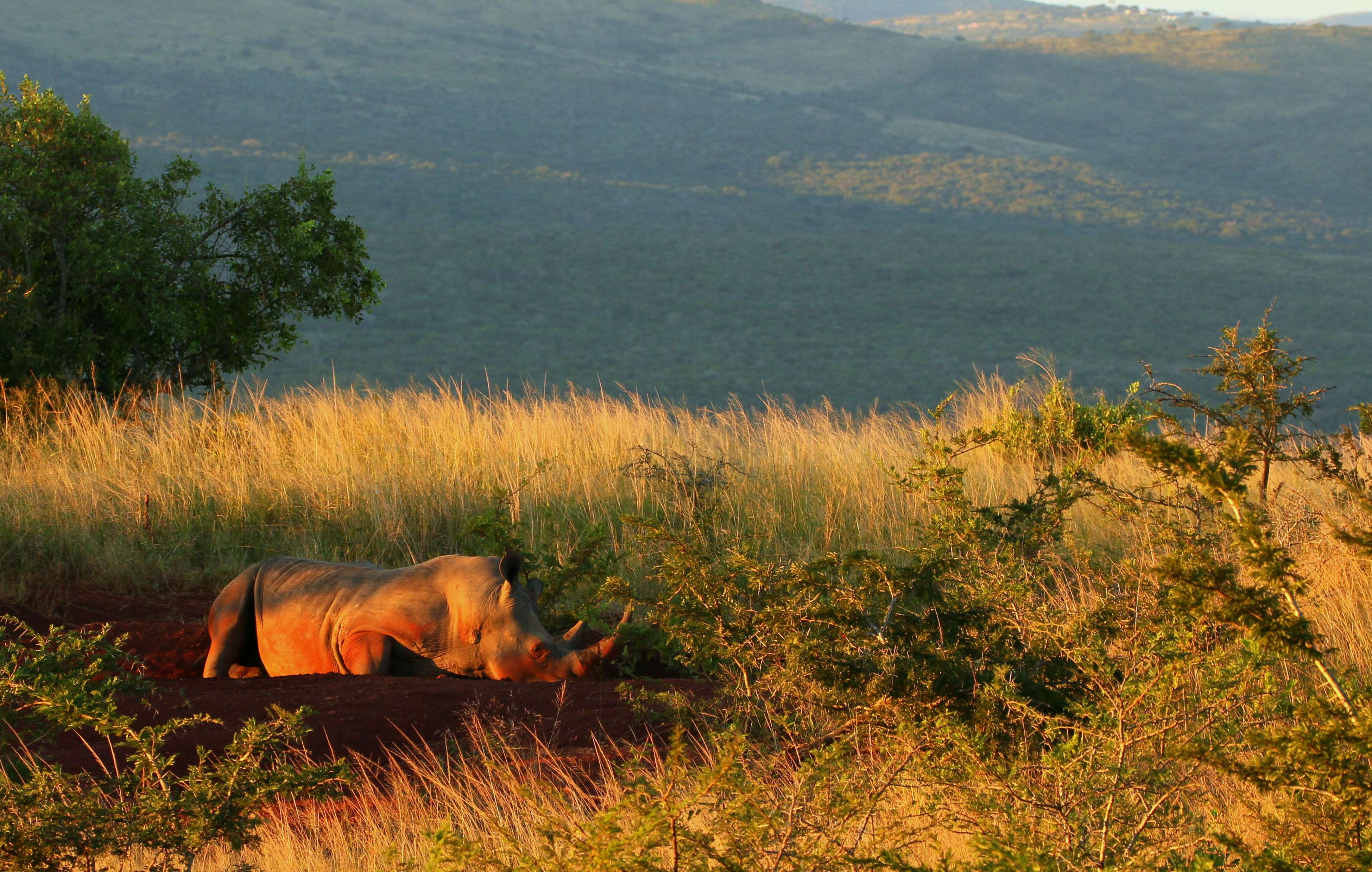 Imfolozi Wilderness Trails, South Africa