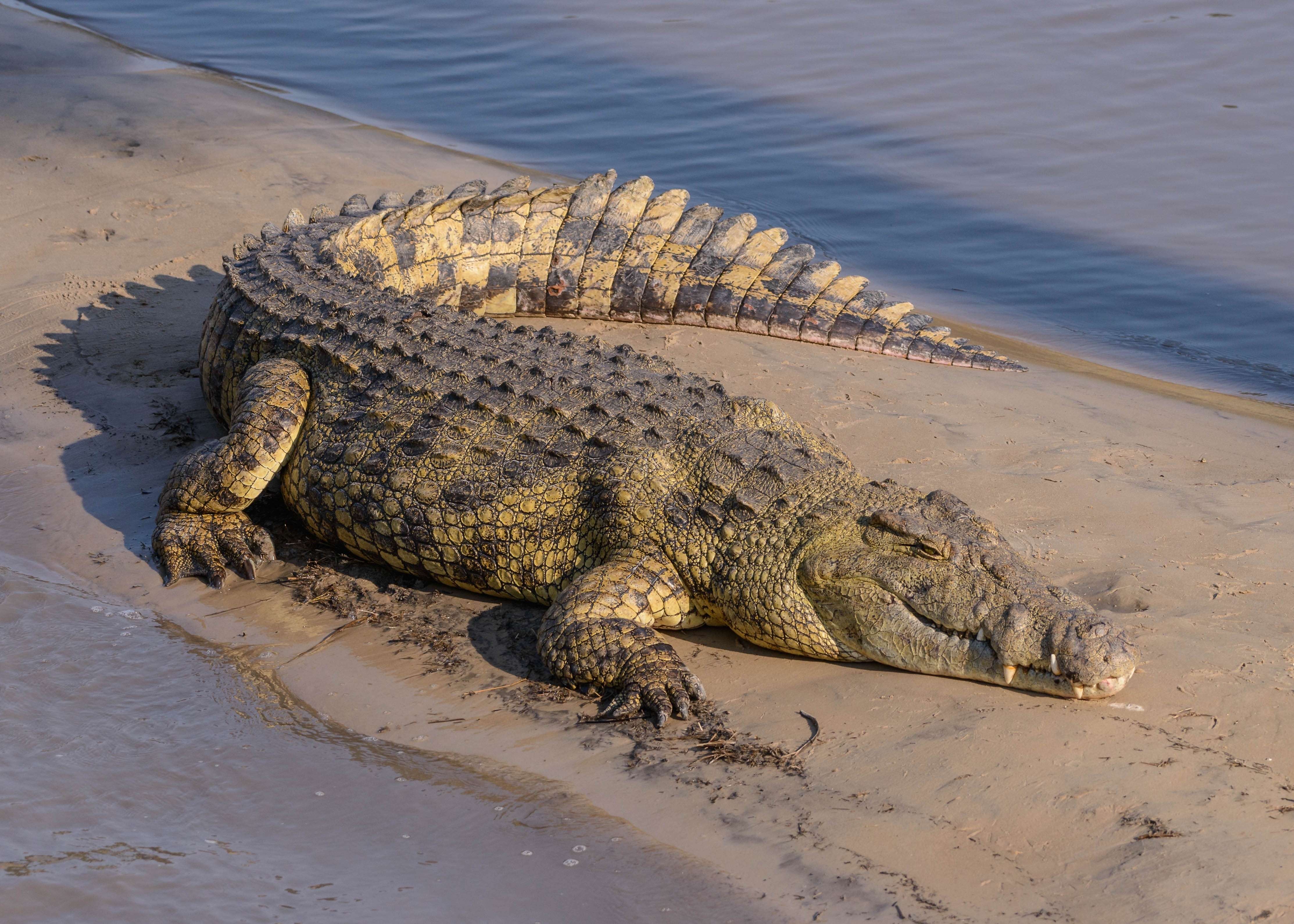 Katavi National Park, Tanzania