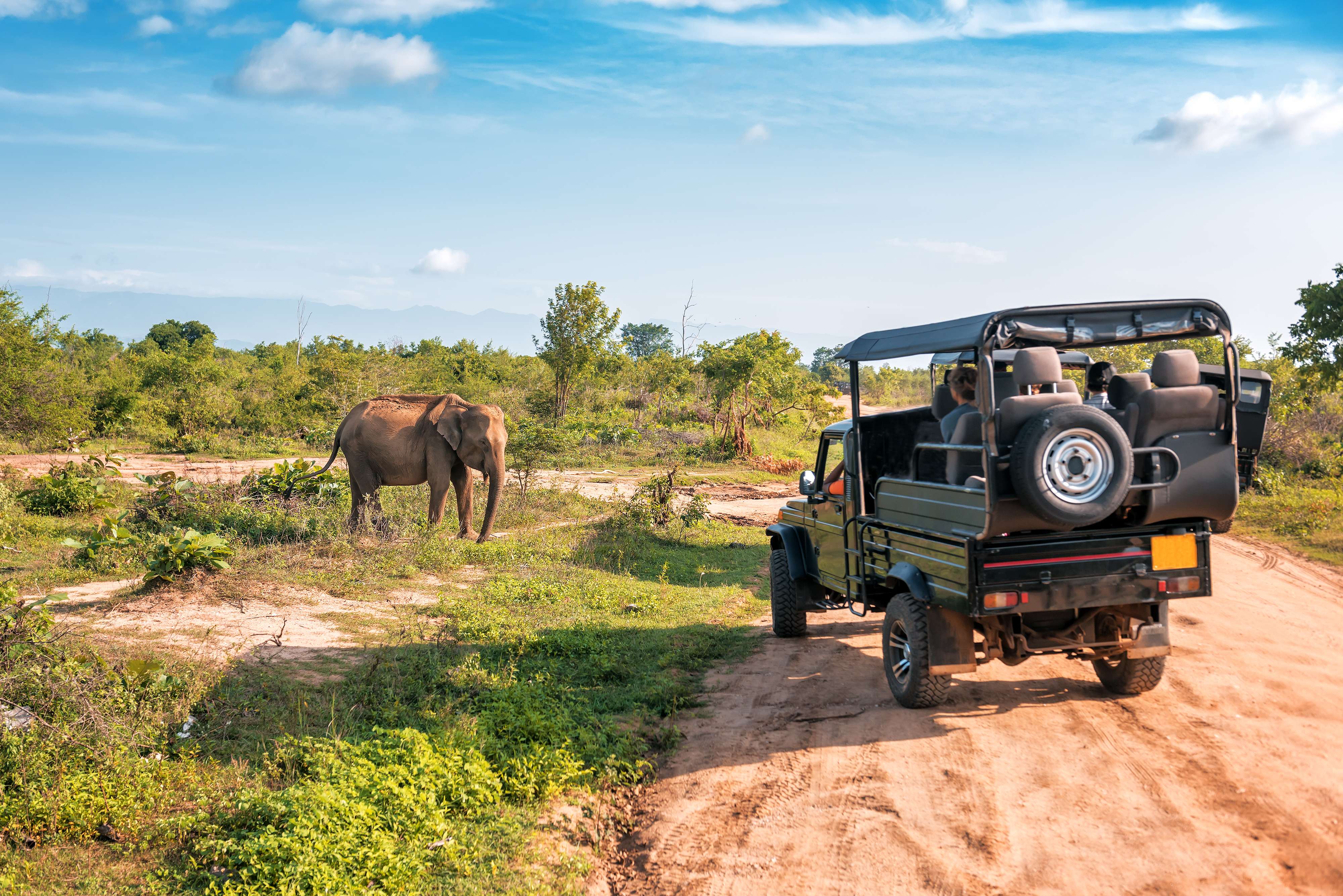 Essential Things to Pack for Uganda Safari Tours