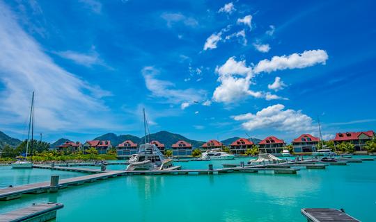 1616160339 shutterstock 1402889651