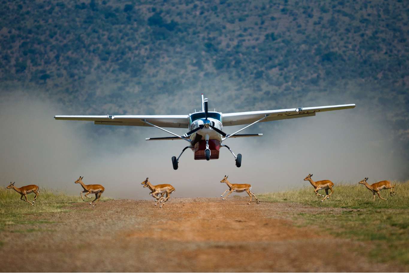 Classic Serengeti Flying Safari