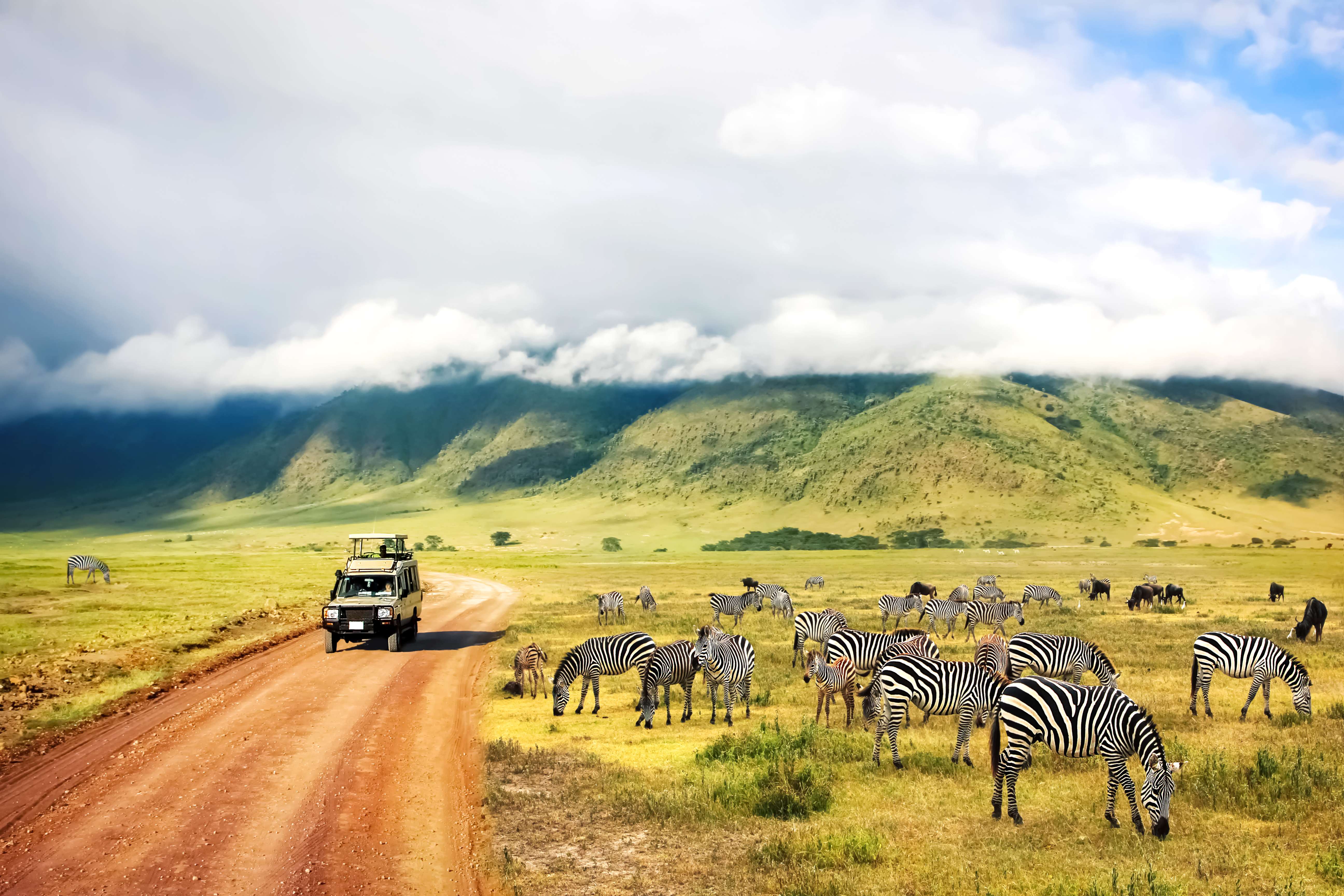 9 Days: Tanzania Safari NDUTU, Serengeti & Ngorongoro Crater Safari