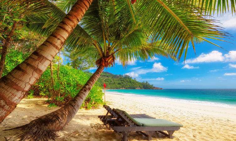 Explore Anse Intendance 