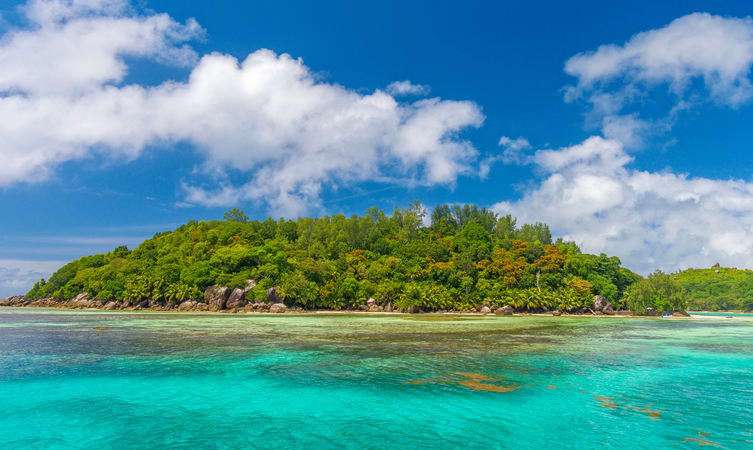 Discover Moyenne Island