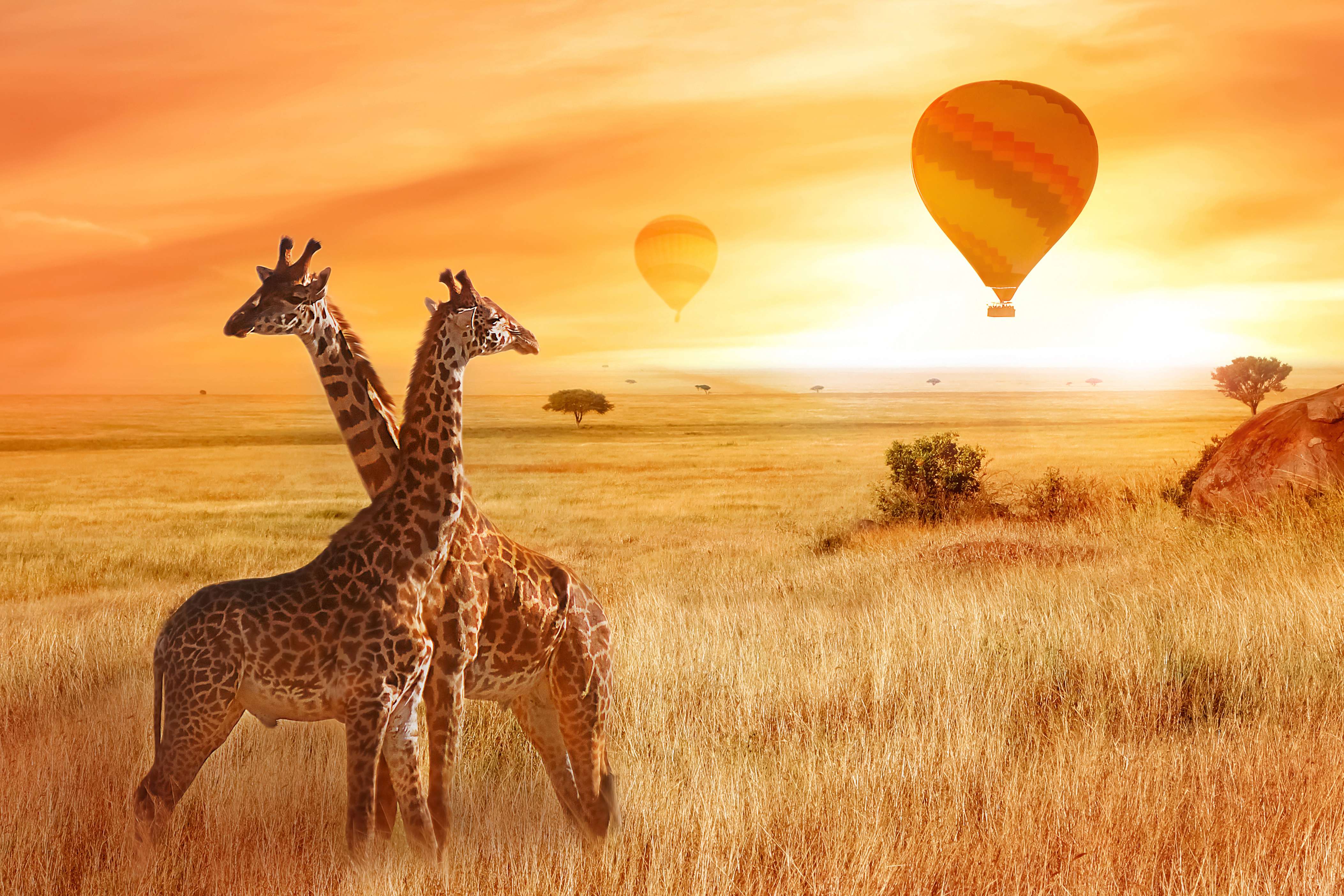 3 Days Serengeti Balloon Safari Packages