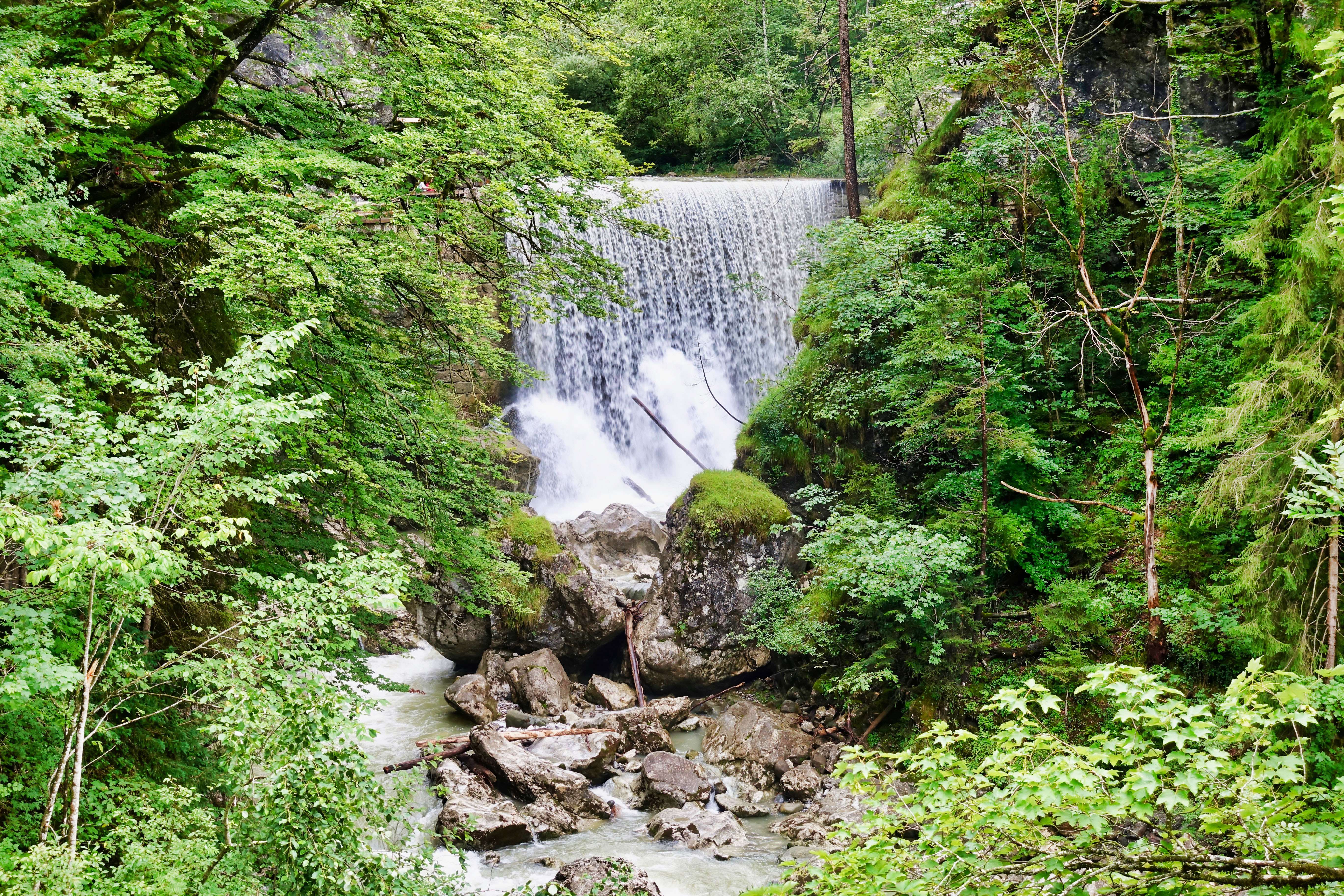 Rappenloch Gorge In Dornbirn