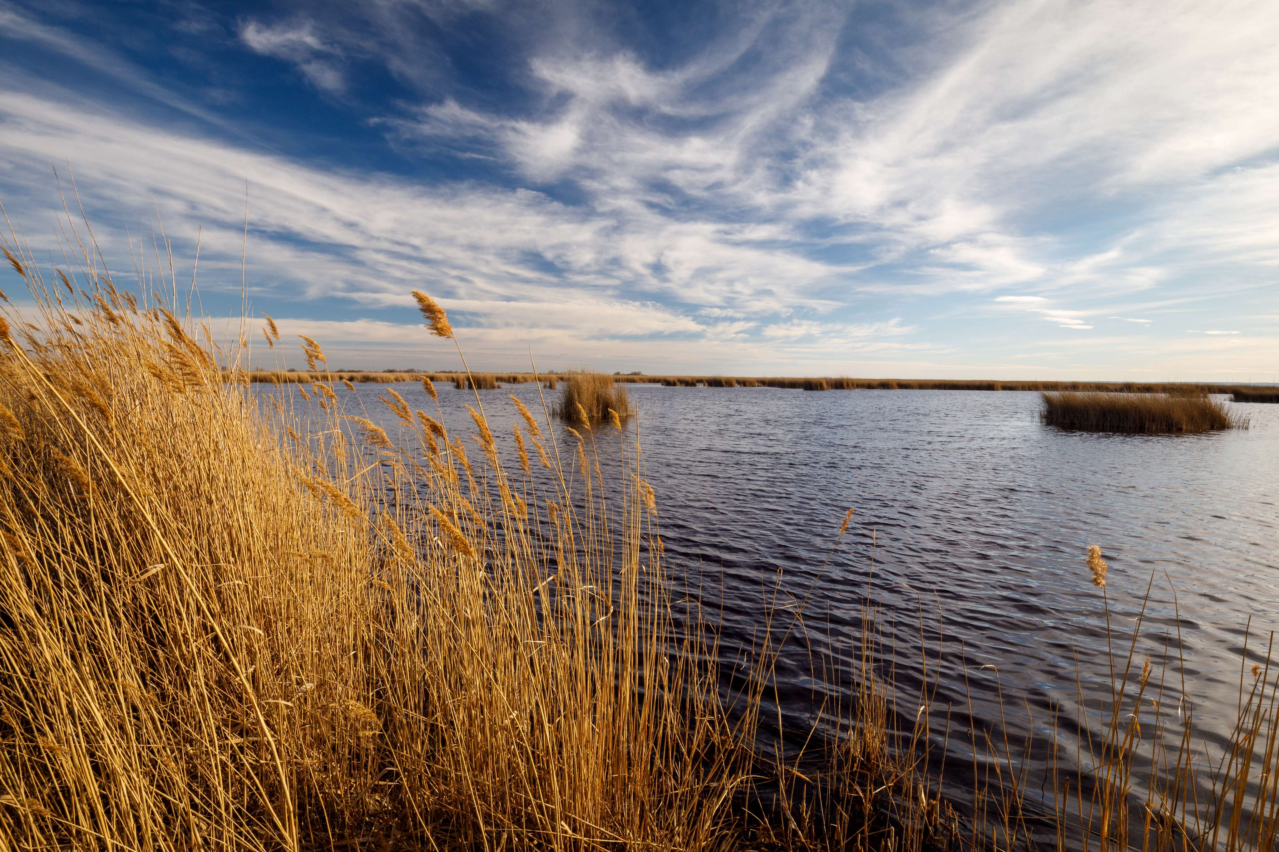 Neusiedler See - Seewinkel National Park