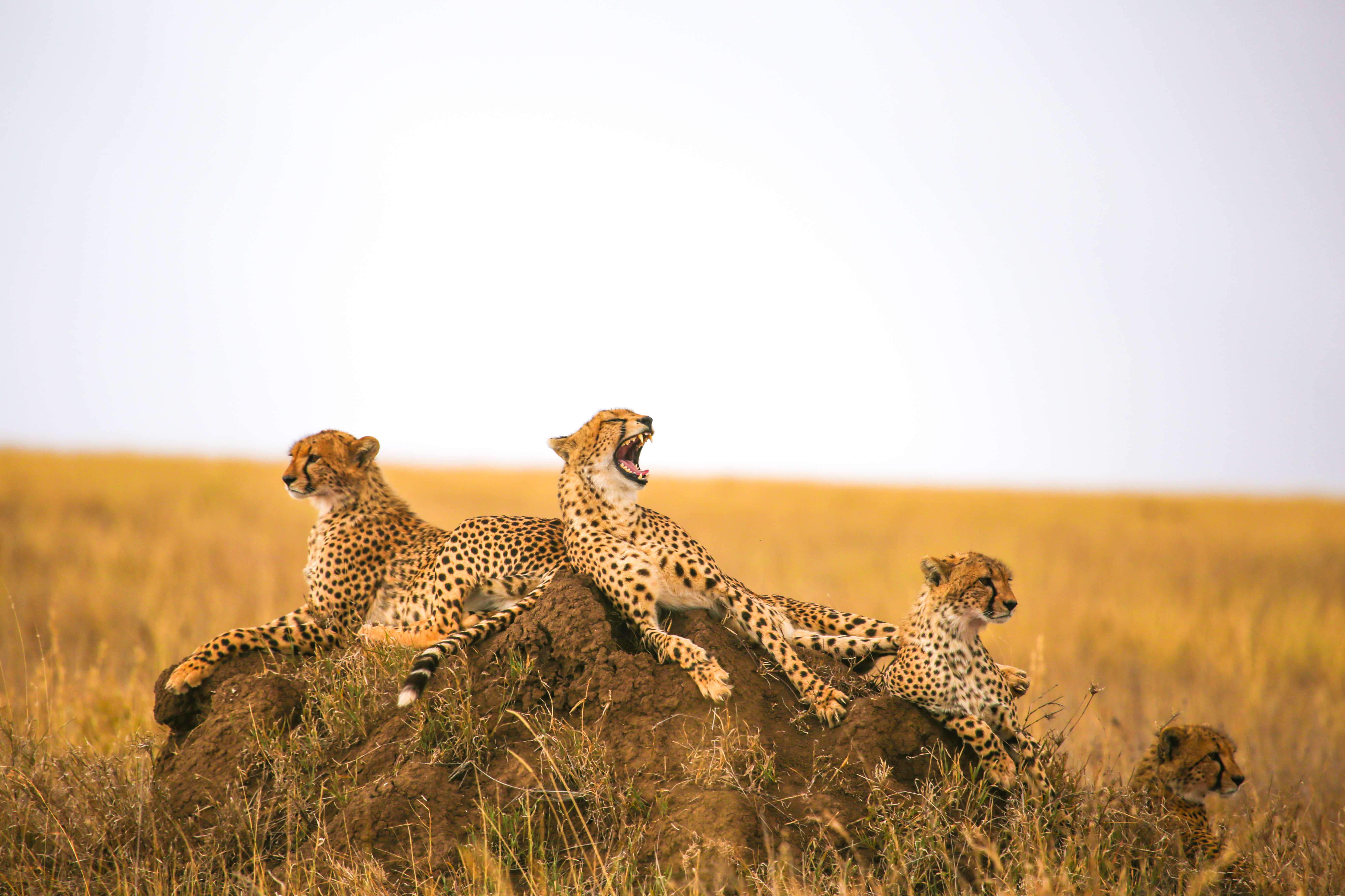 Arusha National Park