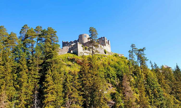 Marvel At Ehrenberg Castle Ruins