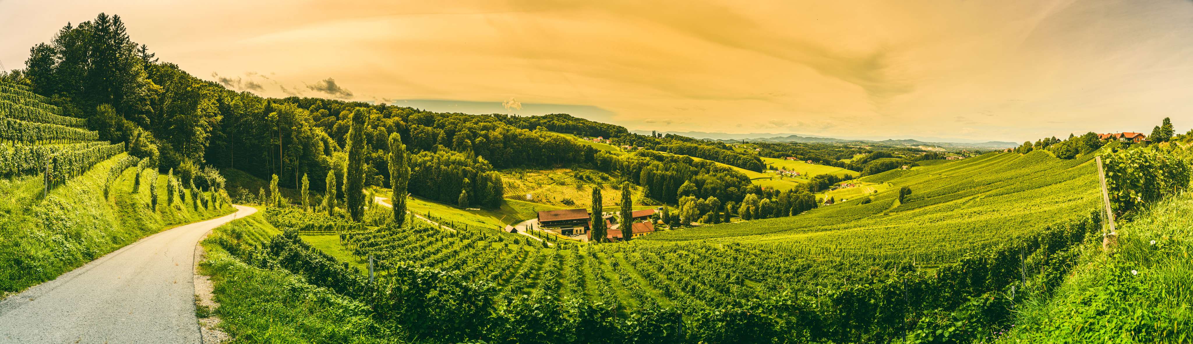 Explore Styrian Wine Road