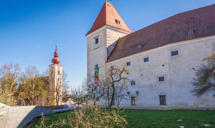 Enjoy At Danube-Auen National Park