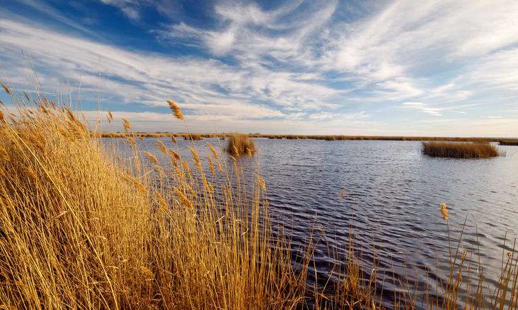 Explore Neusiedler See