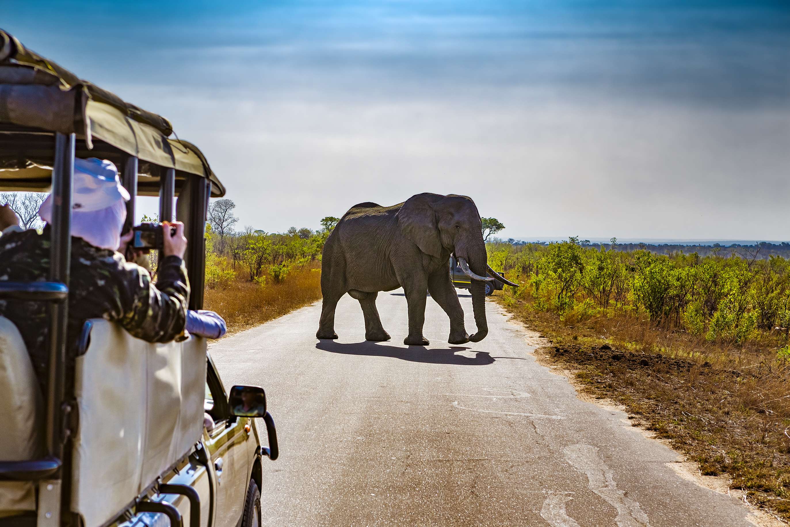3 Days Magnificent Legends Safari Package