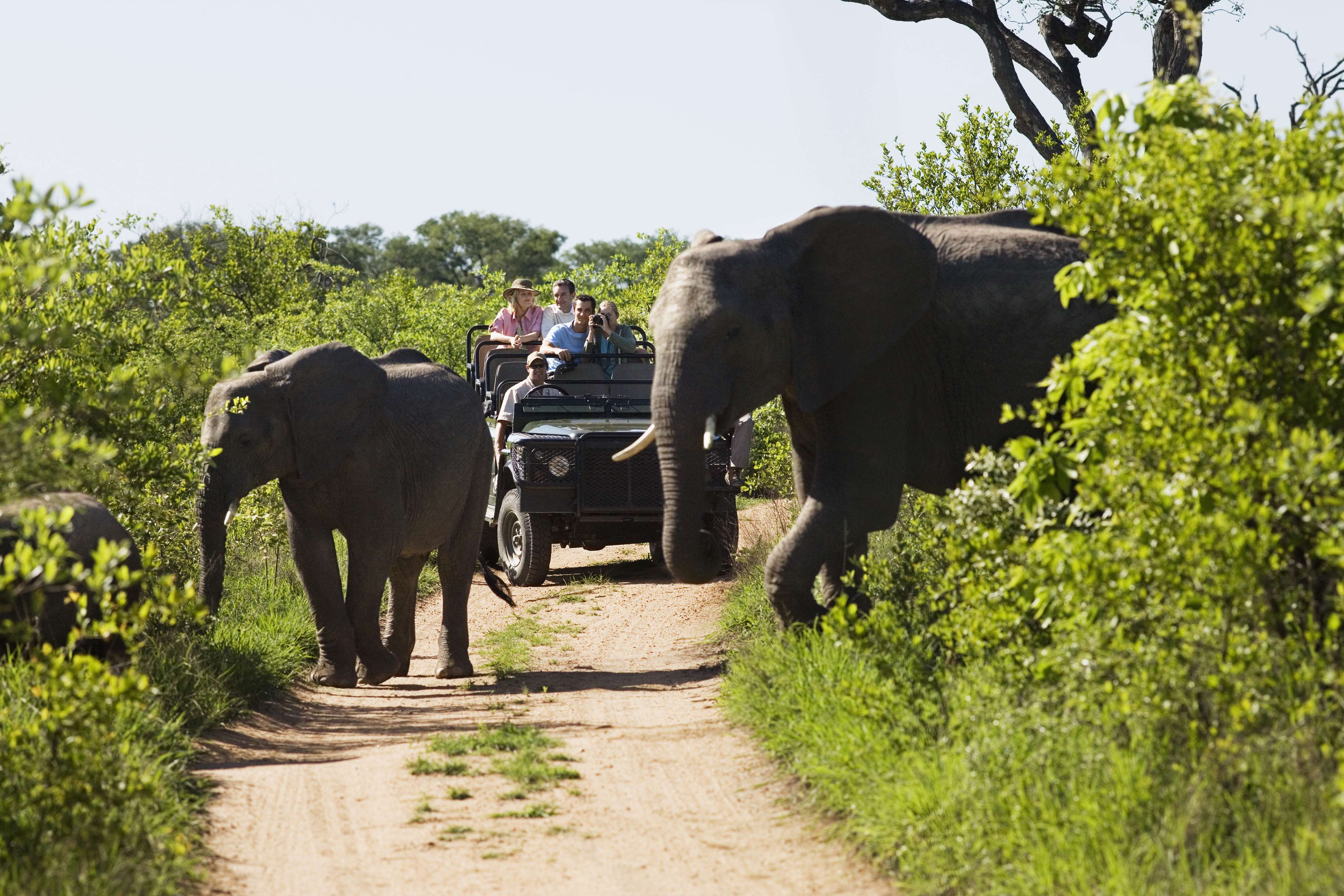 3 Days Exceptional Luxury Kruger Safari