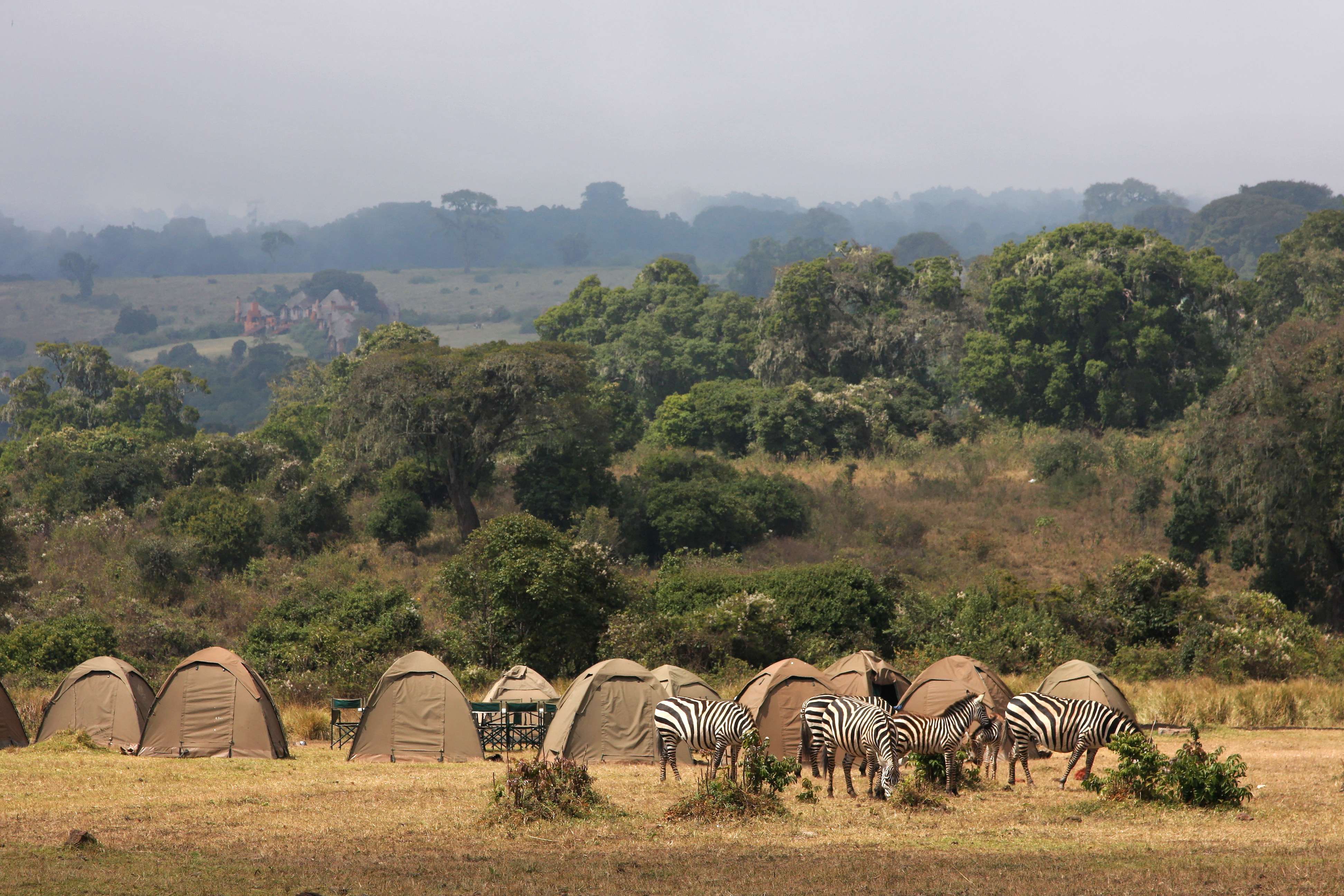 5 Days - Tanzania Camping Safari