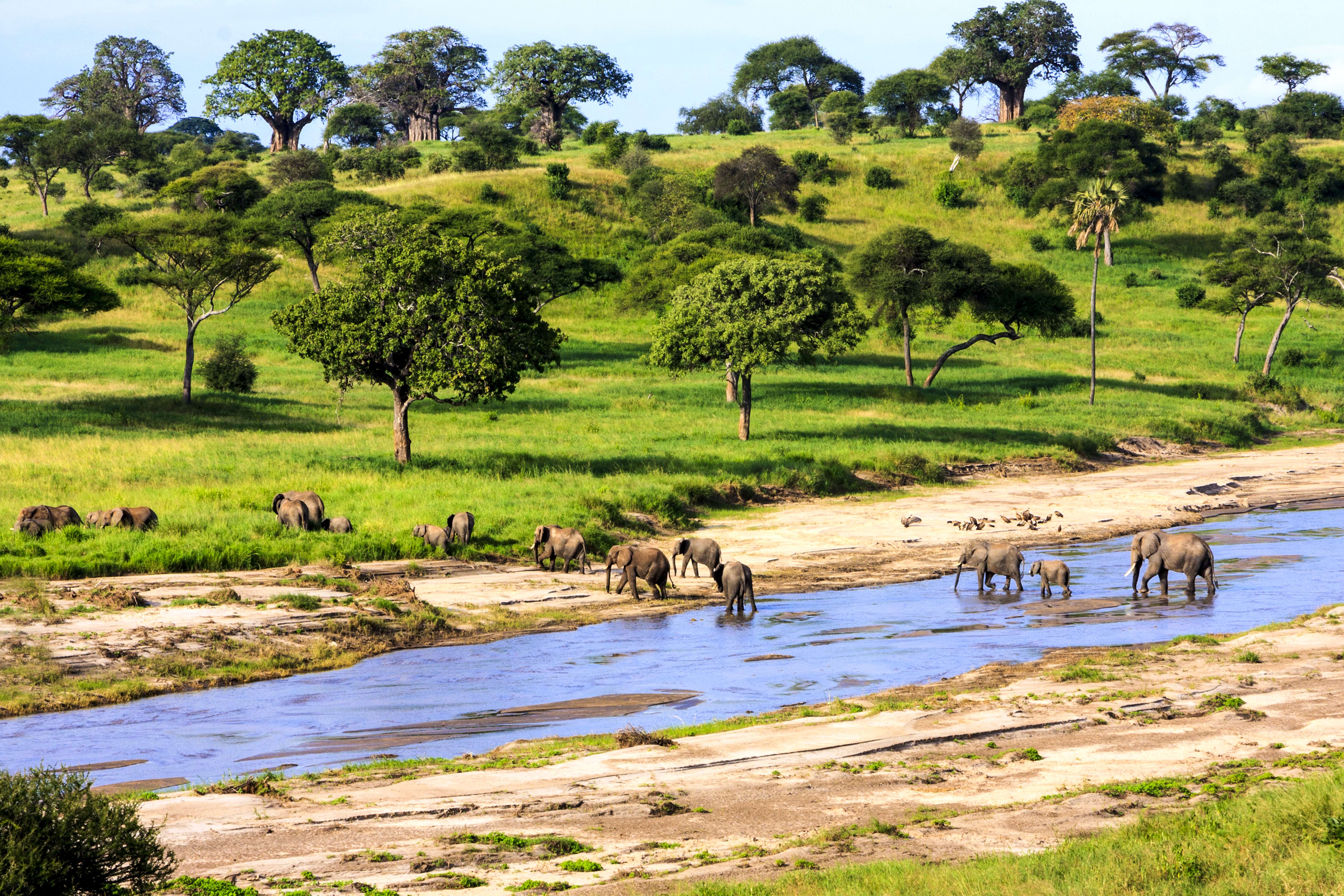 Explore Tanzania Big 5 - 10 Days Safari
