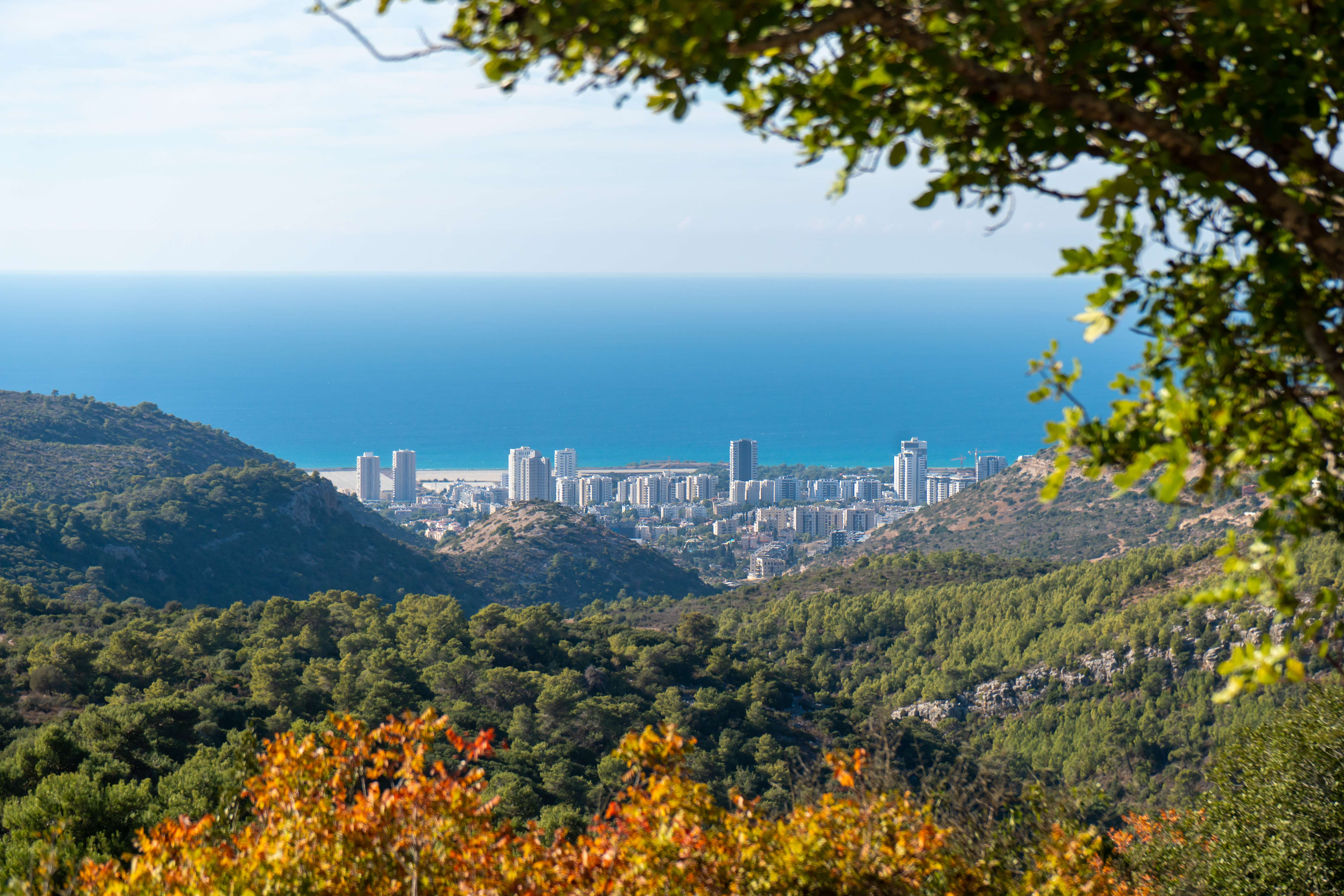 Carmel Hai-Bar Nature Reserve