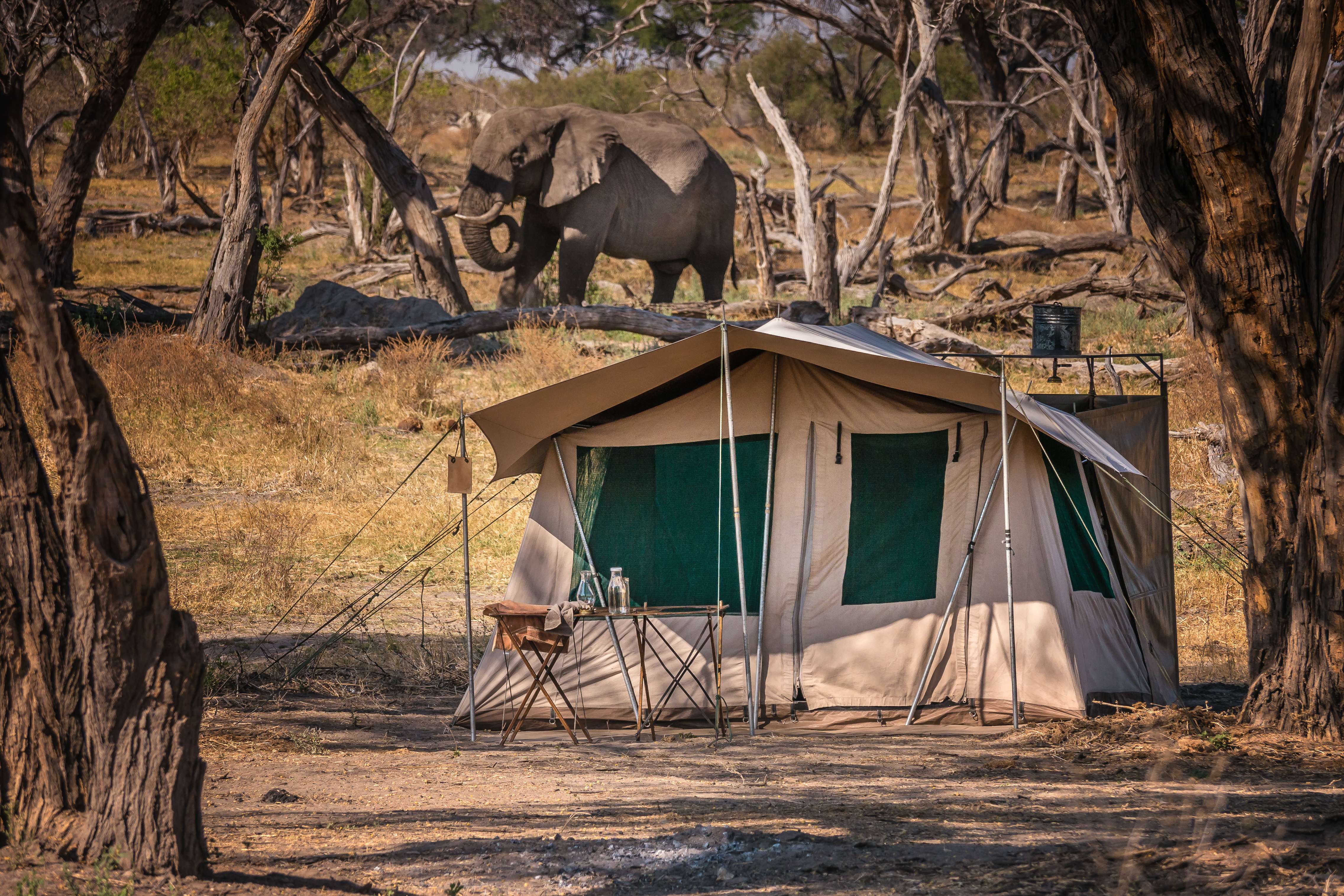 Mobile Explorer Camp Safaris