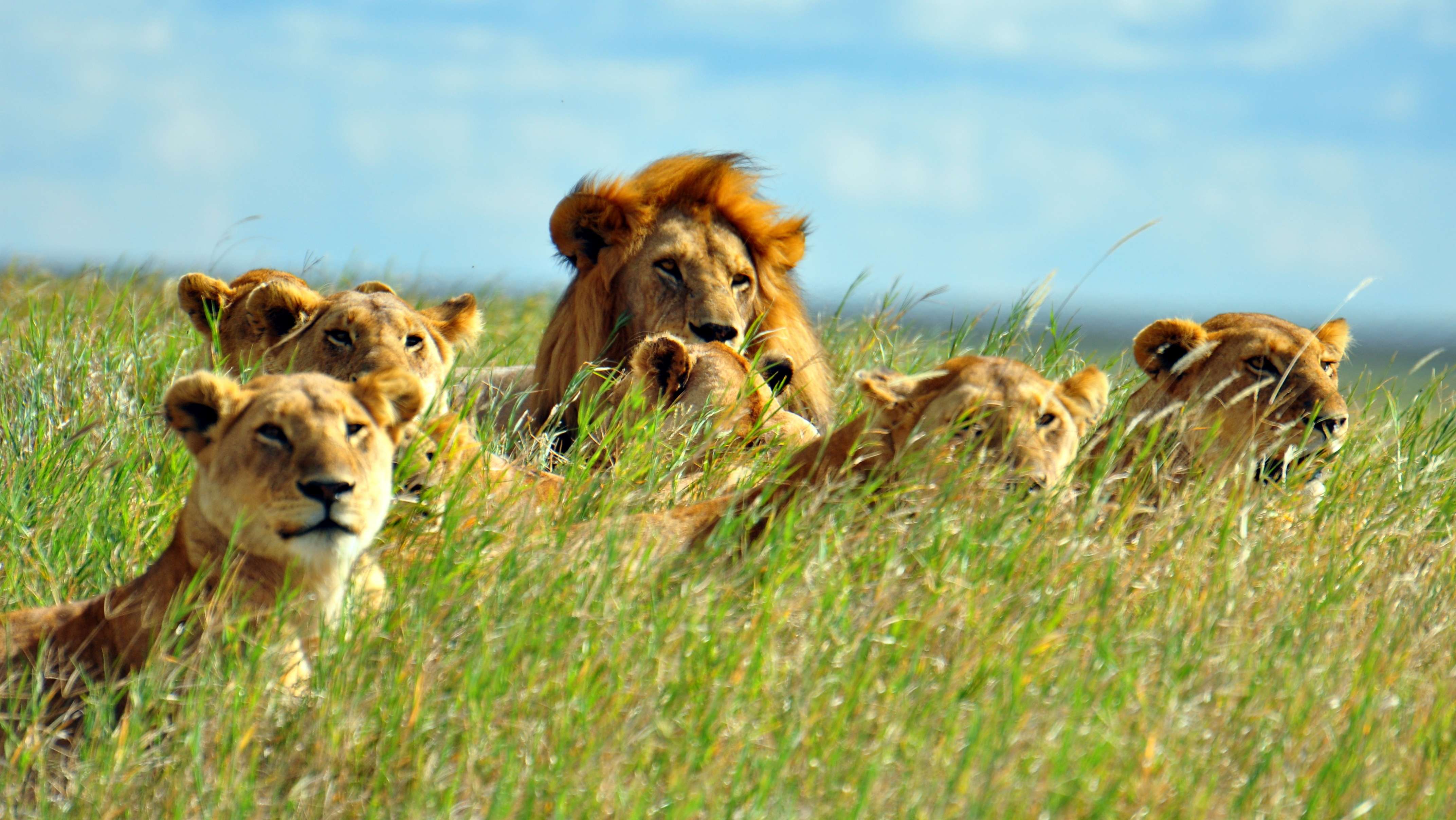 Serengeti National Park