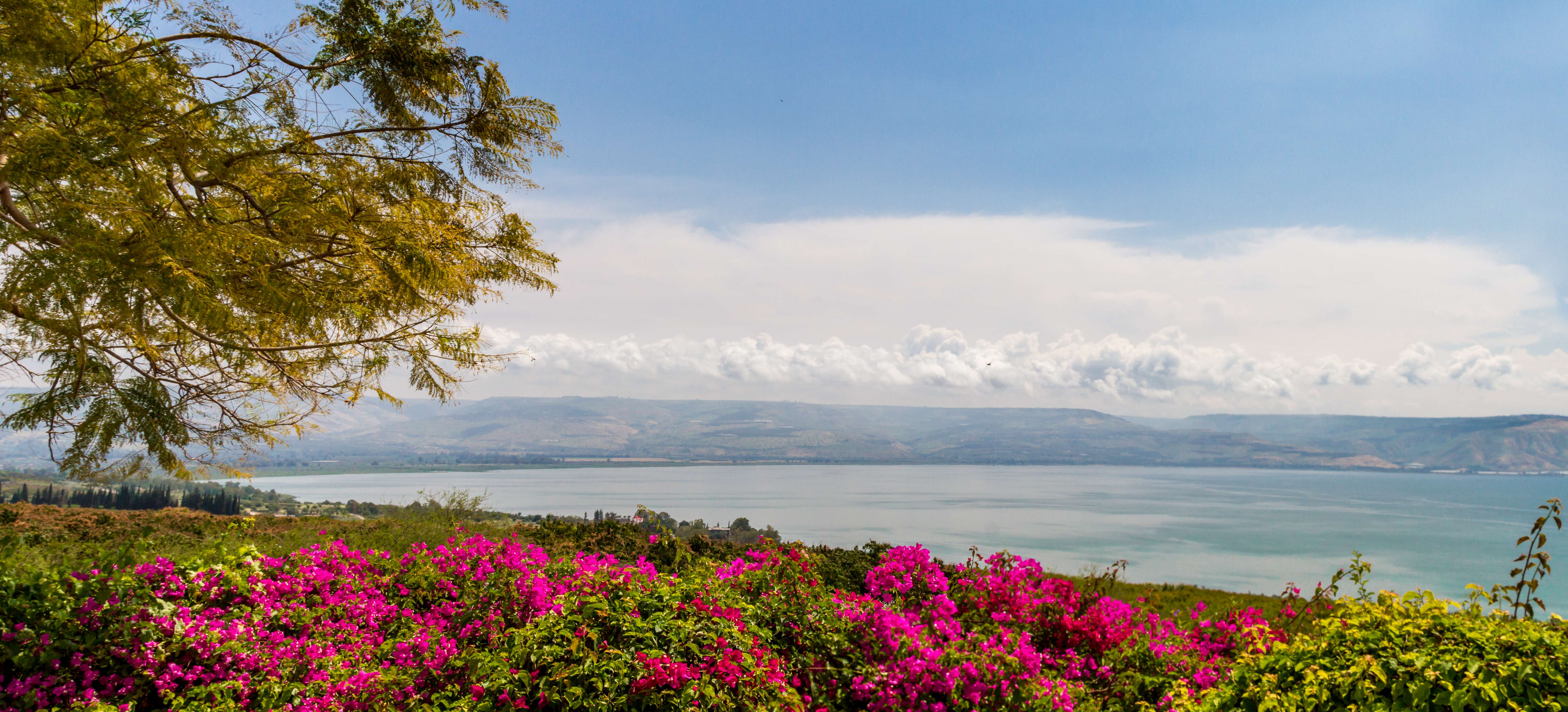 Beit Gabriel on the Kinneret