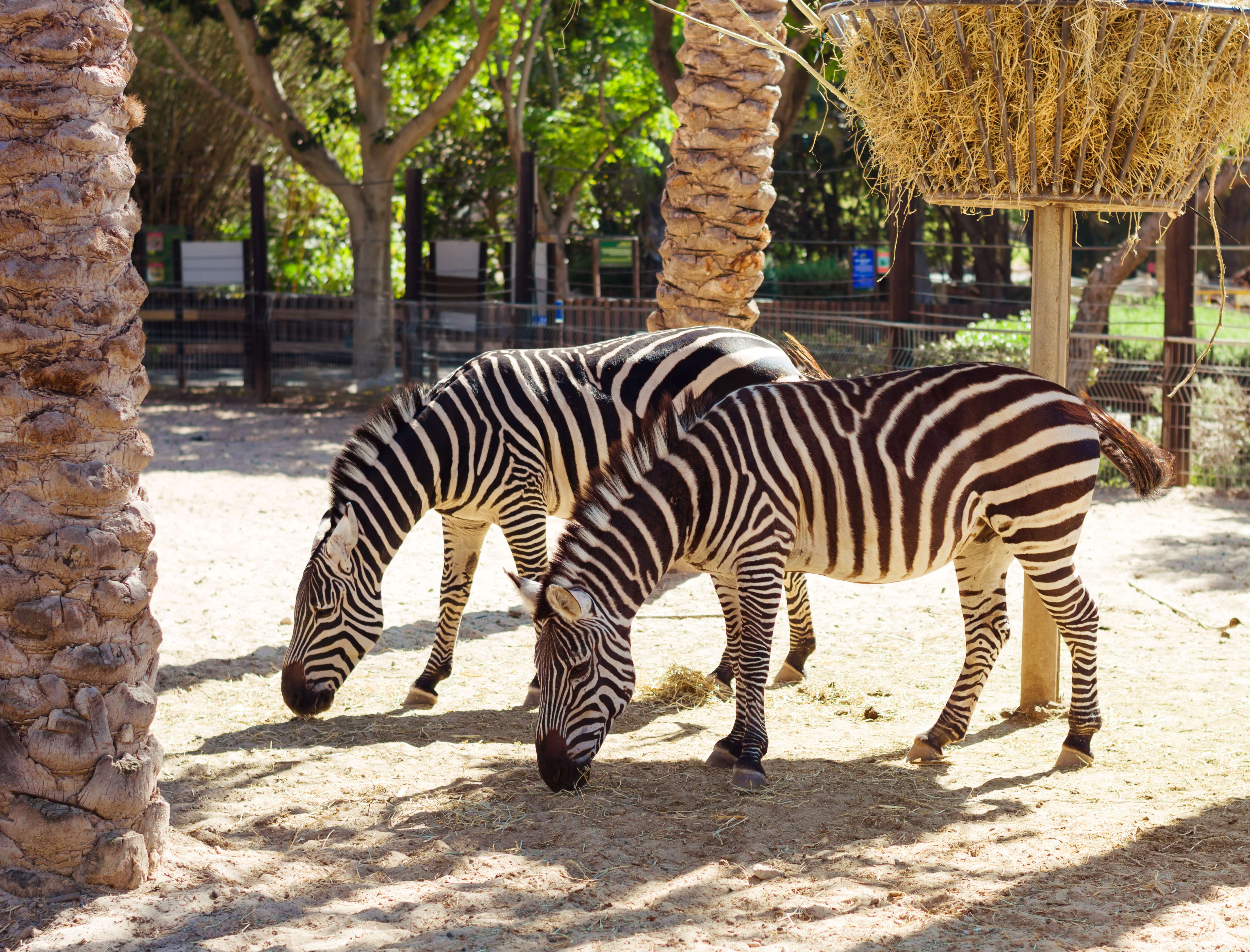 Hai Park Kiryat Motzkin