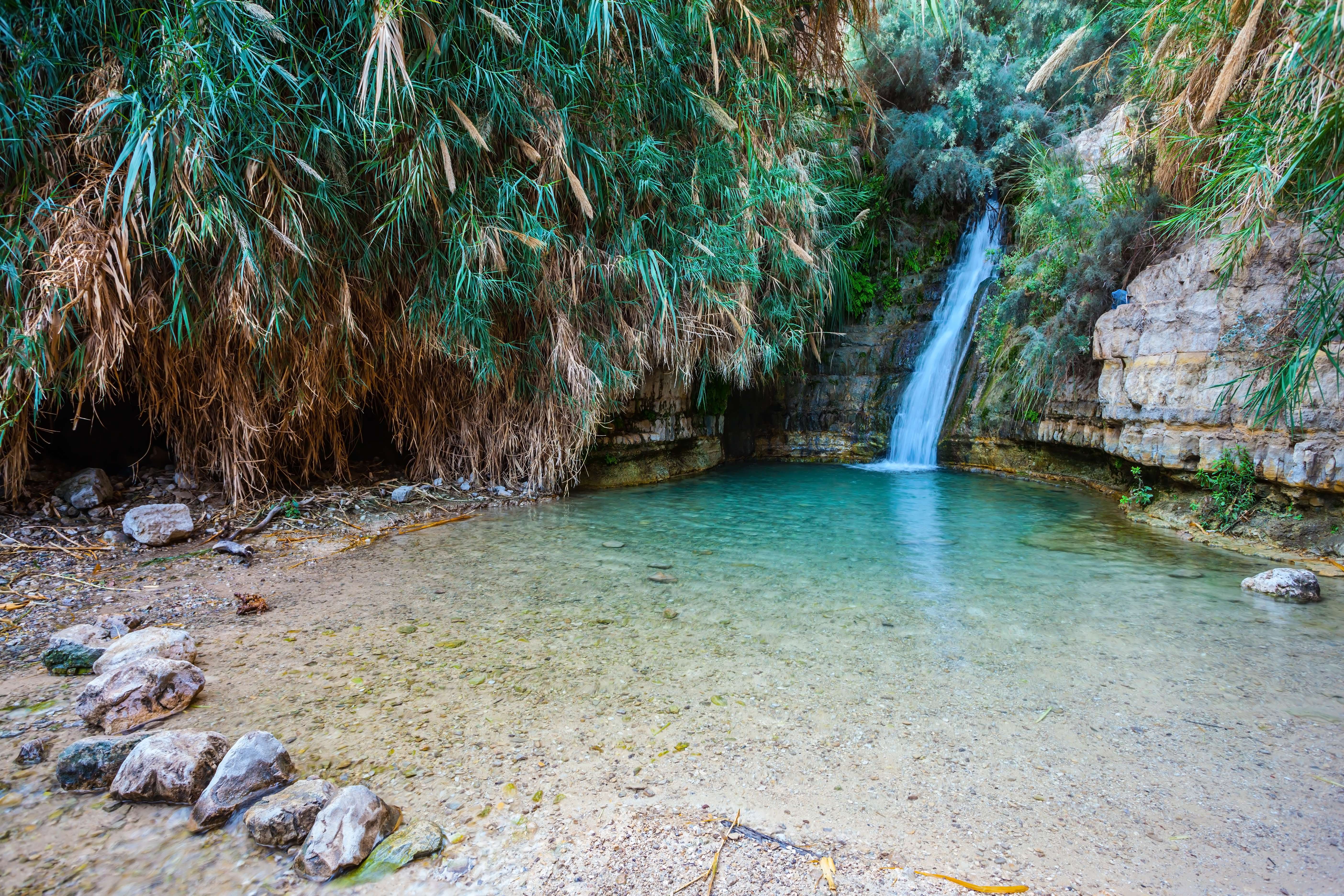 Ein Gedi Reserve