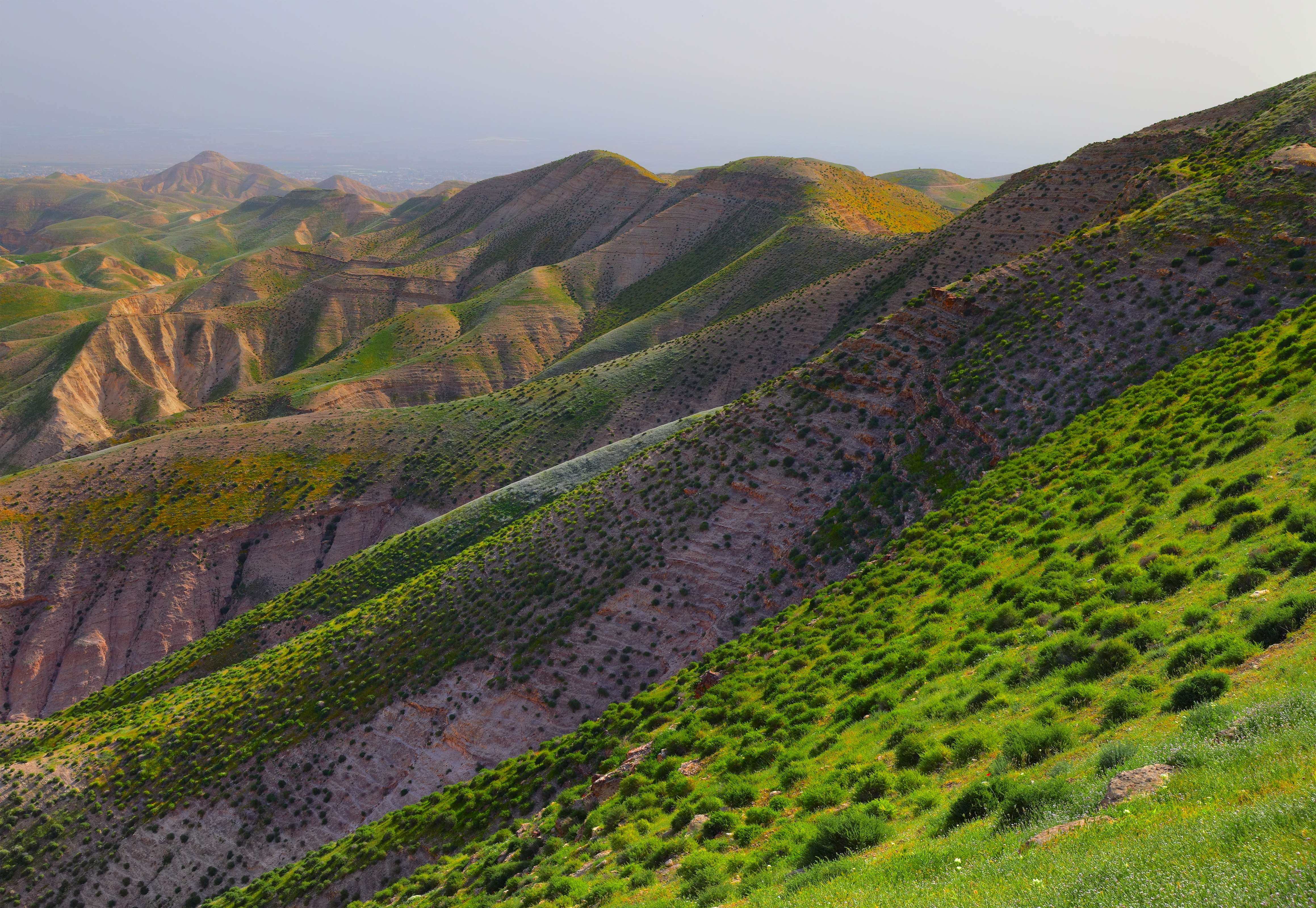 Judean Hills, Sculpture Road