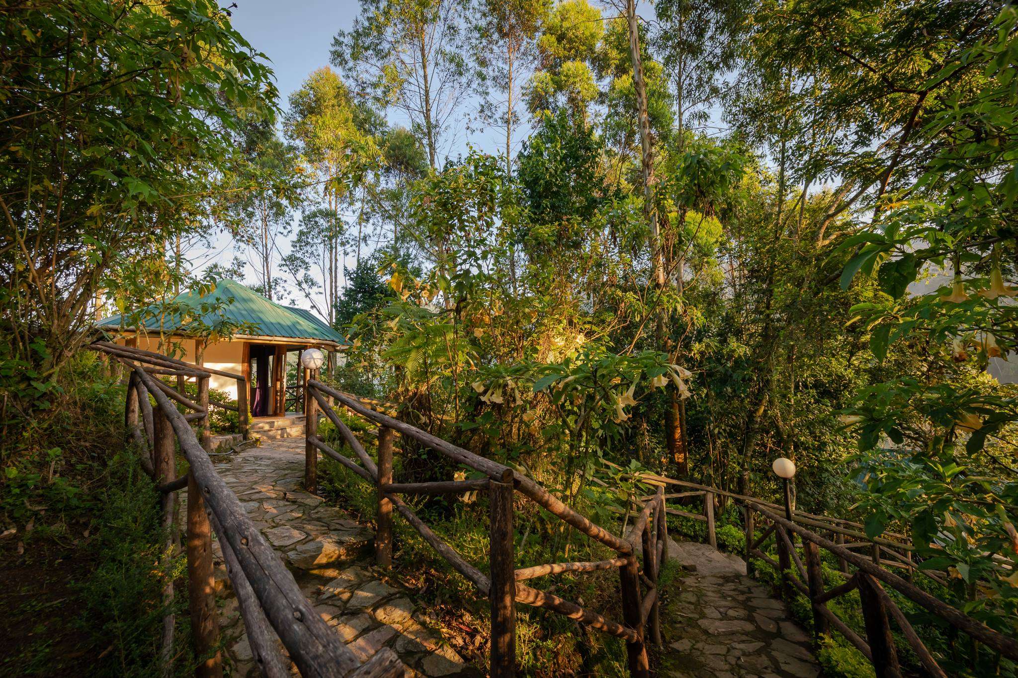 Gorilla Safari Lodge