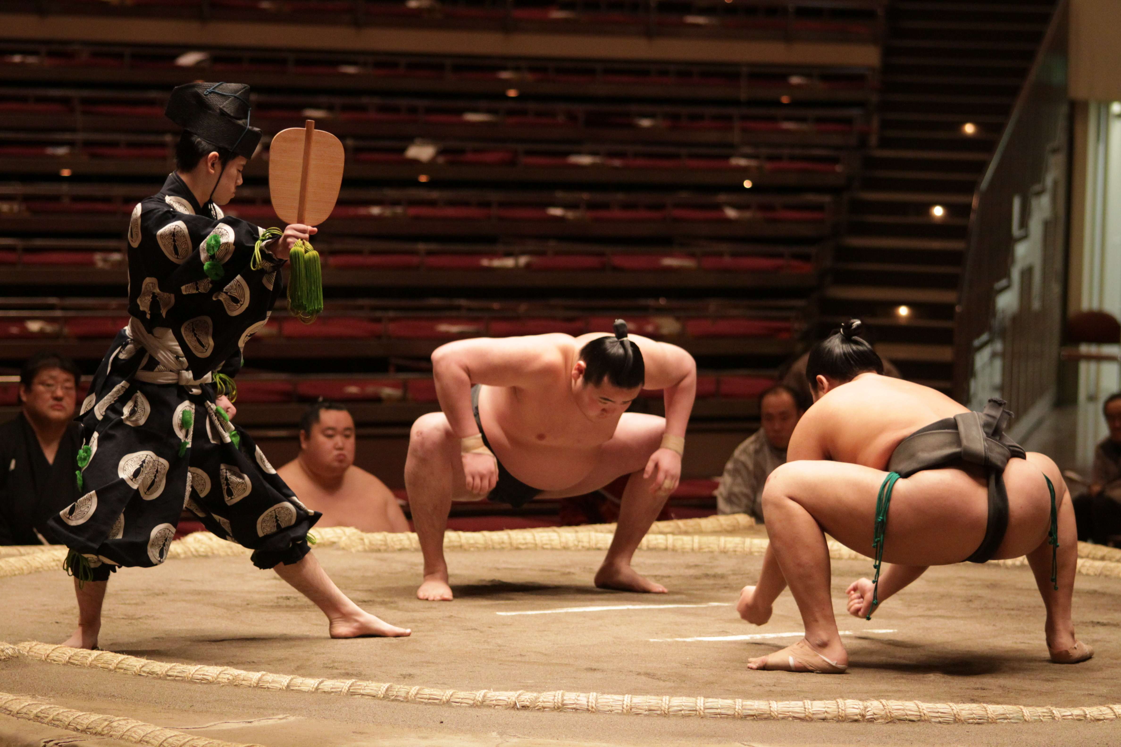 See Sumo Wrestlers in Action