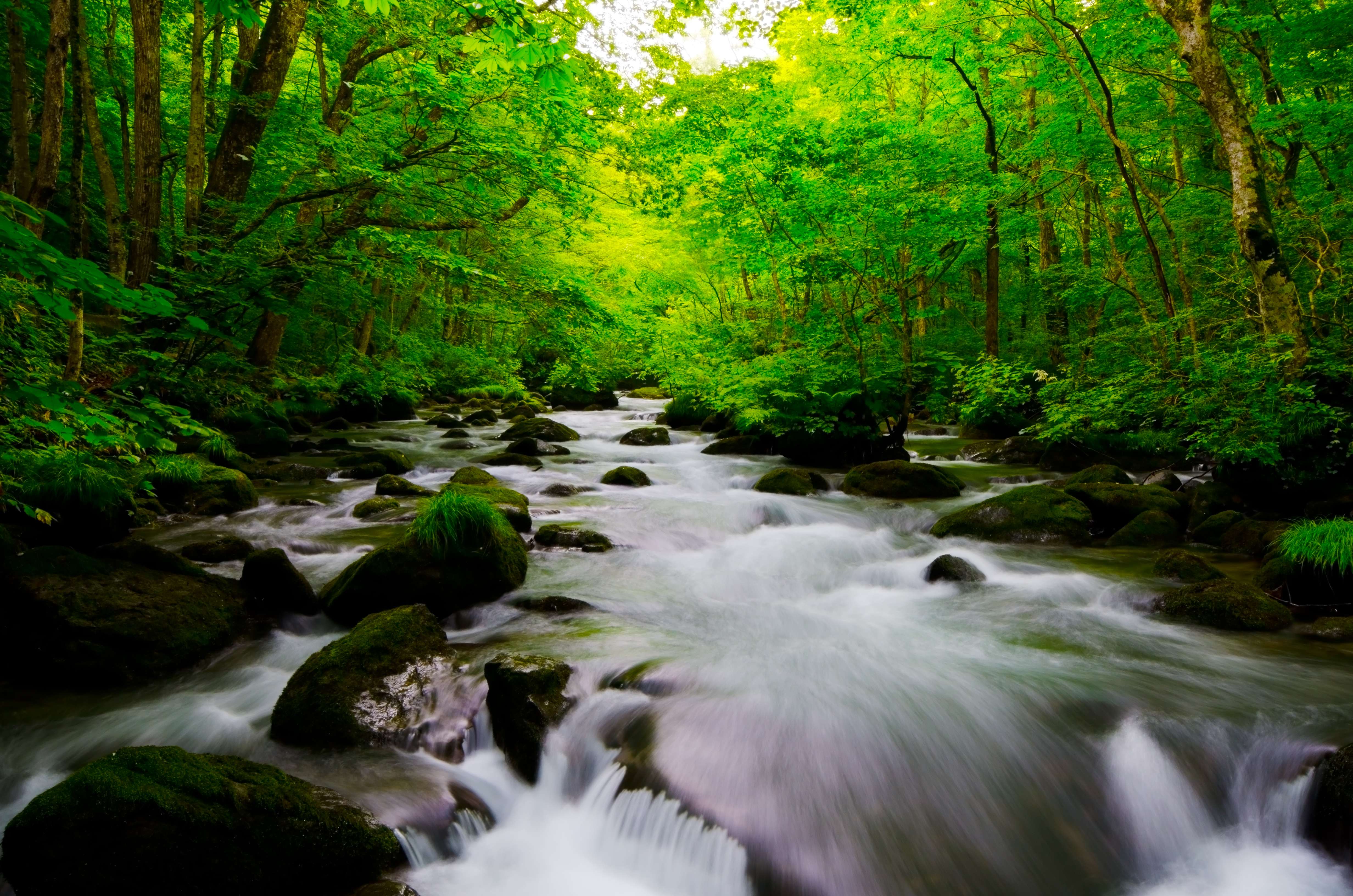 Hiking and Cycling Through the Oirase National Park, Aomori