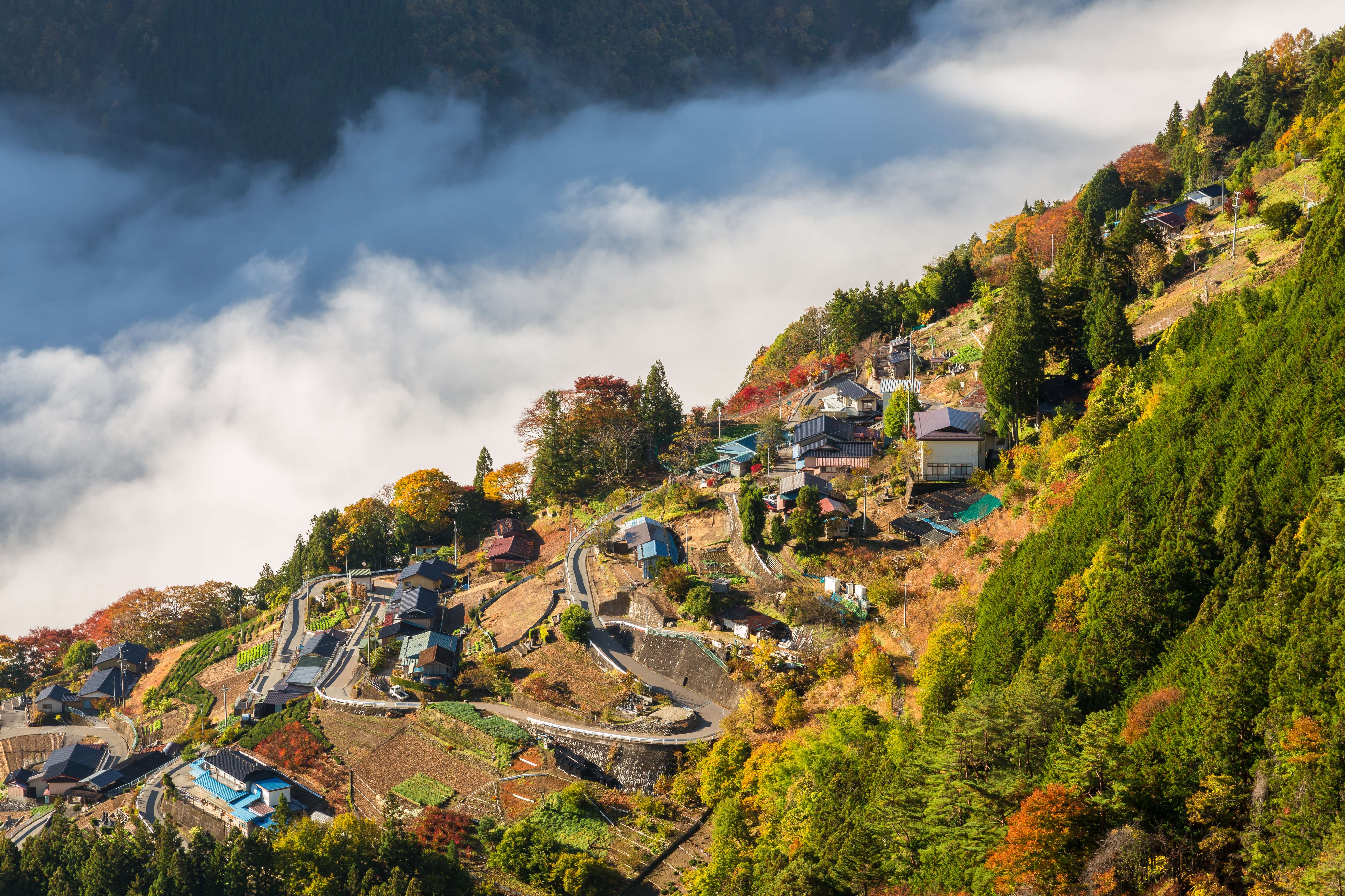 Witness the Beauty of Shimoguri no Sato