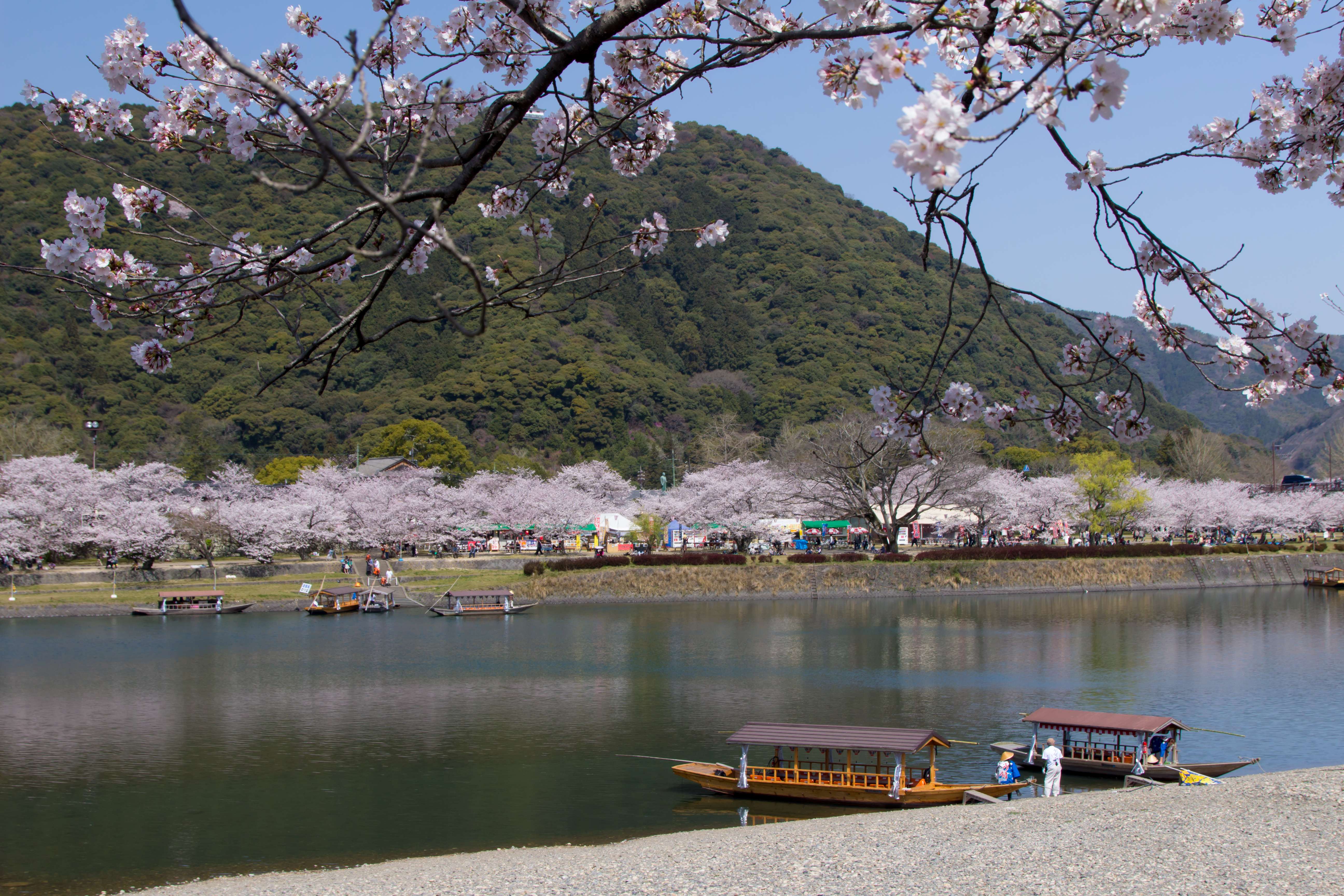 Enjoy Yakatabune Boat Trip