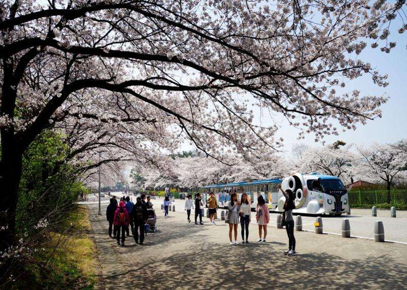 Explore the Incheon Grand Park