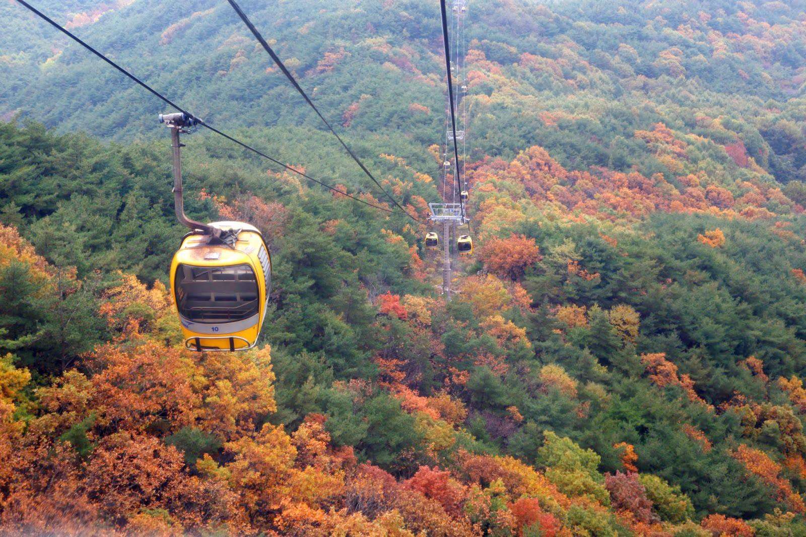 Take the Cable Car to Daegu's famed Ap Mountain