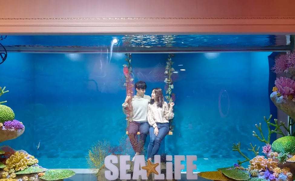Sea Life Busan Aquarium